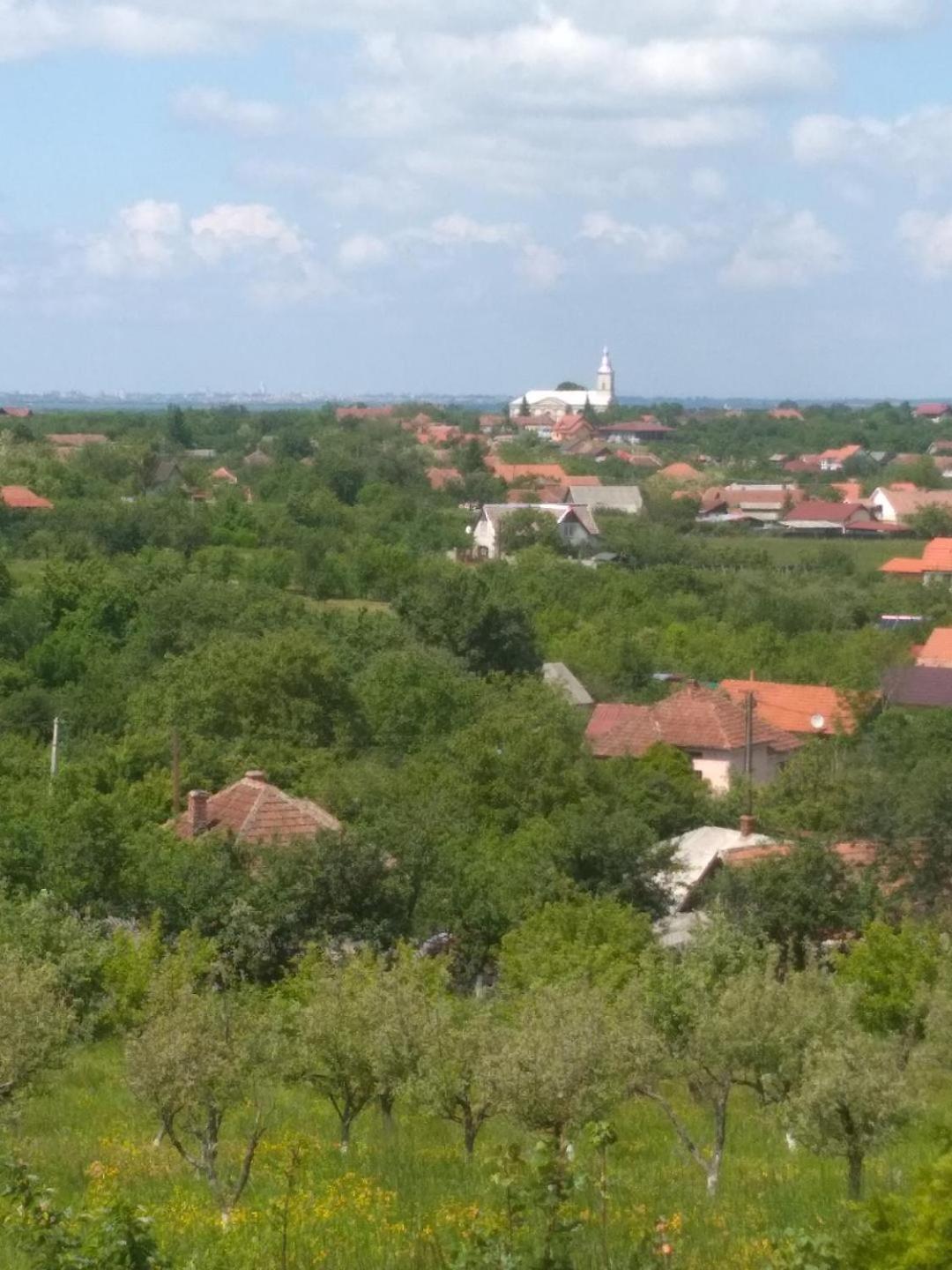 VIS PENSION view 2