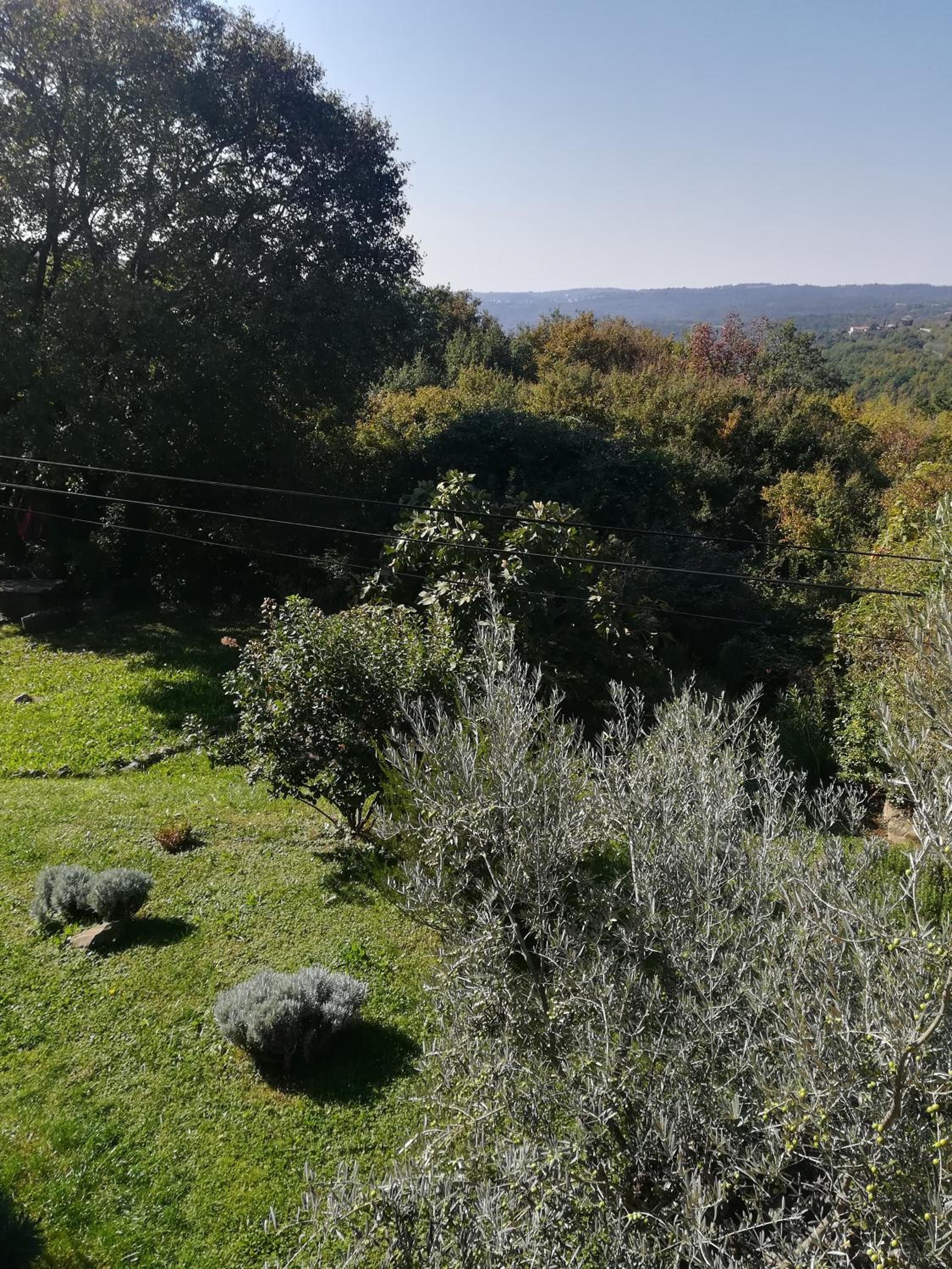 Istria Divina