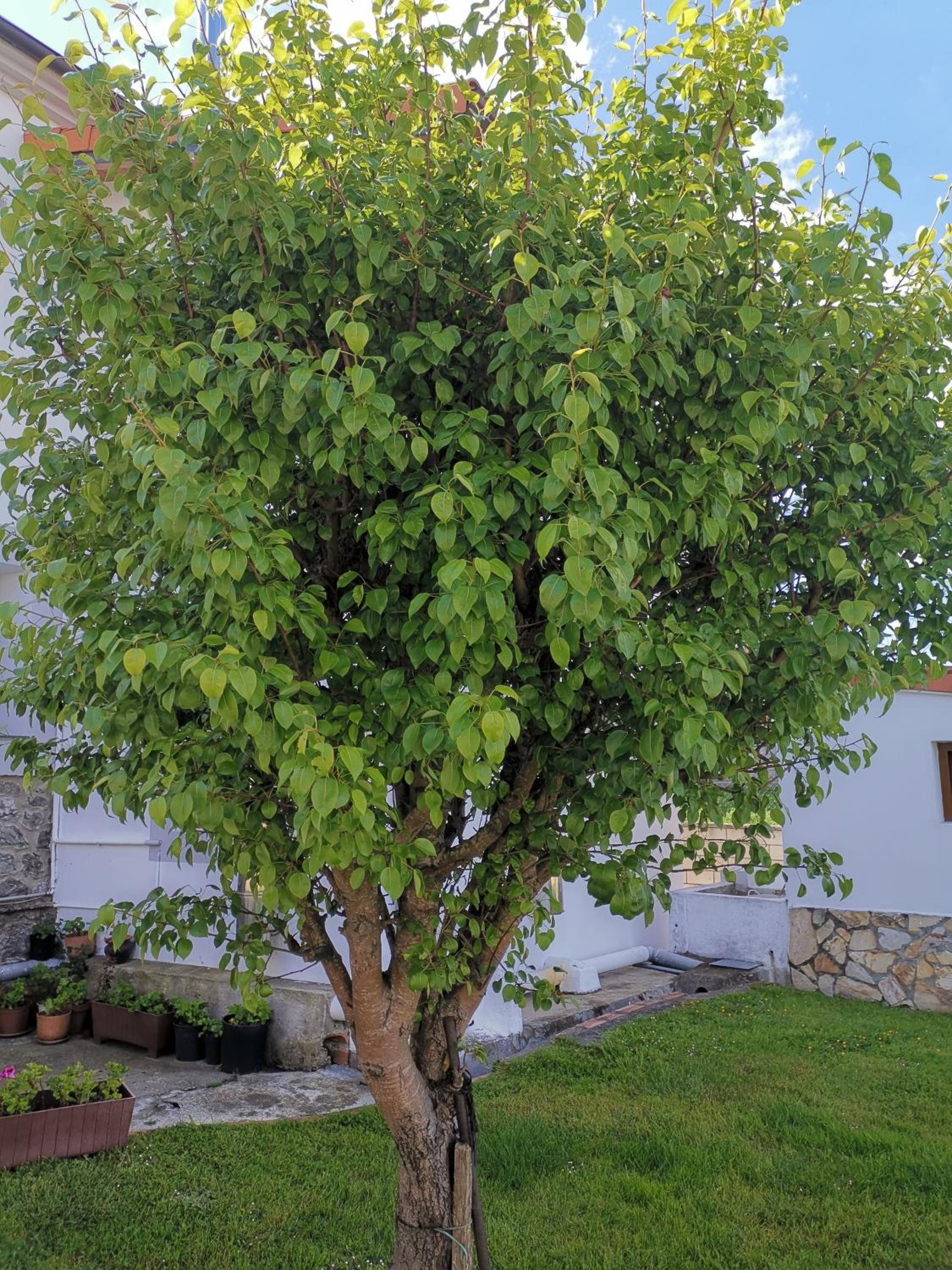 Photo 34