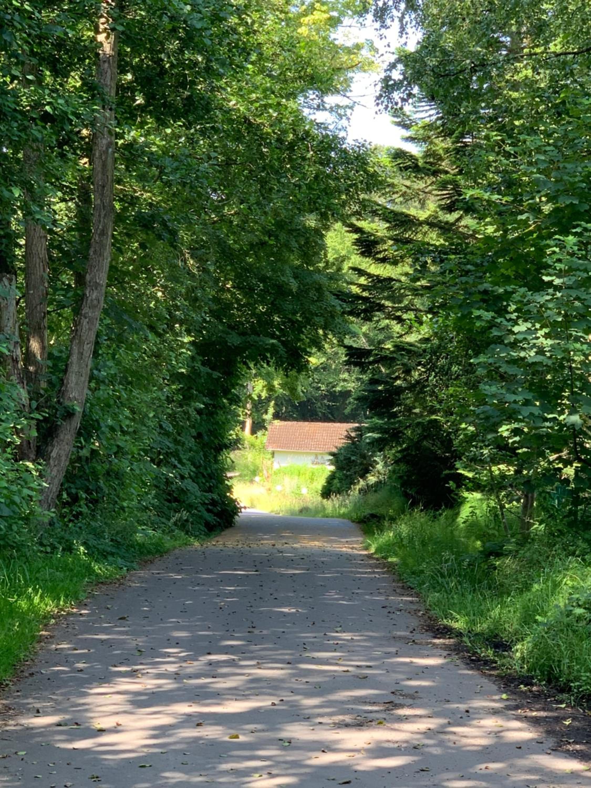 Waldmühle, photo 32