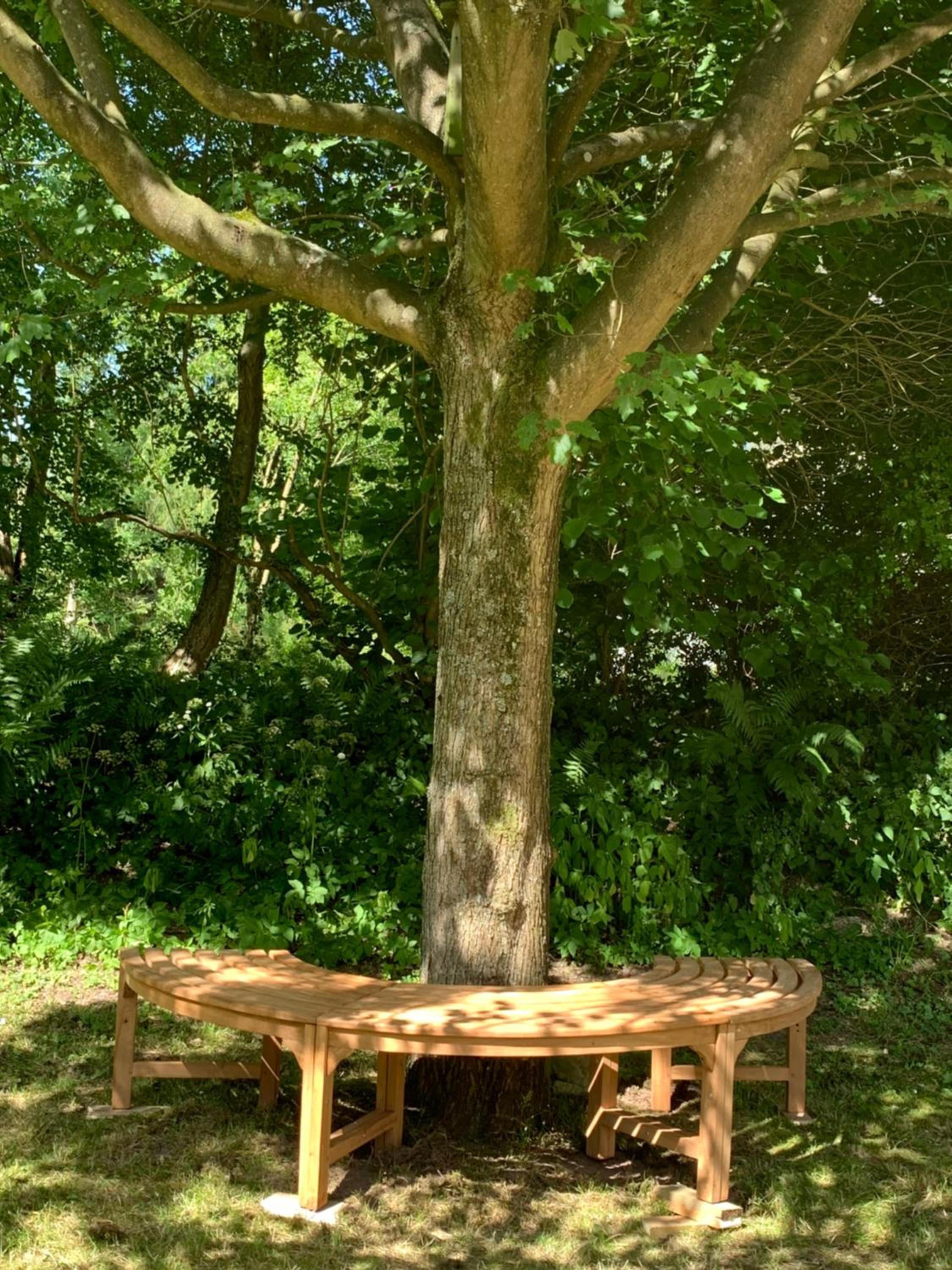 Waldmühle, photo 47