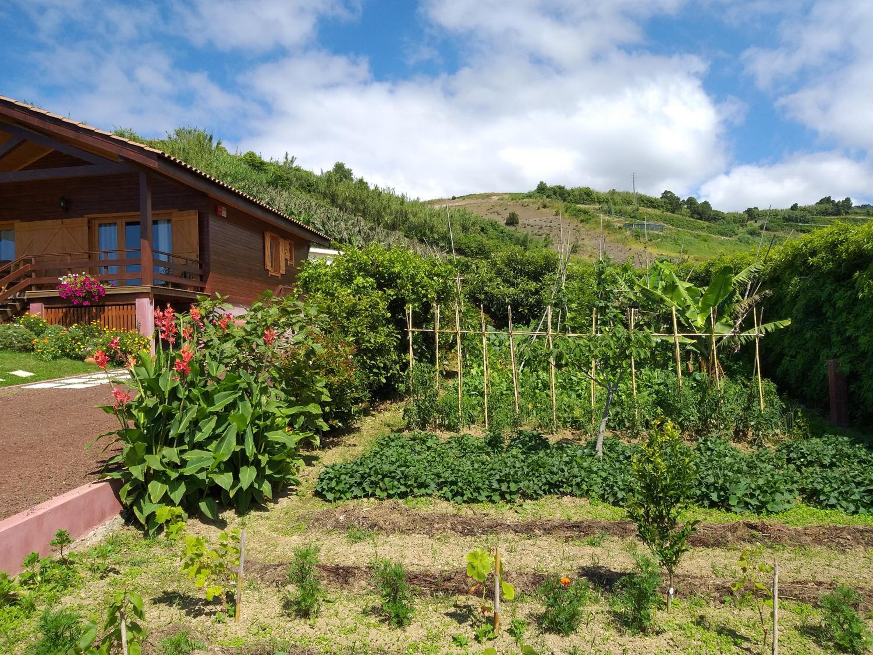 Quinta da Pavoa - Cottage House view 3