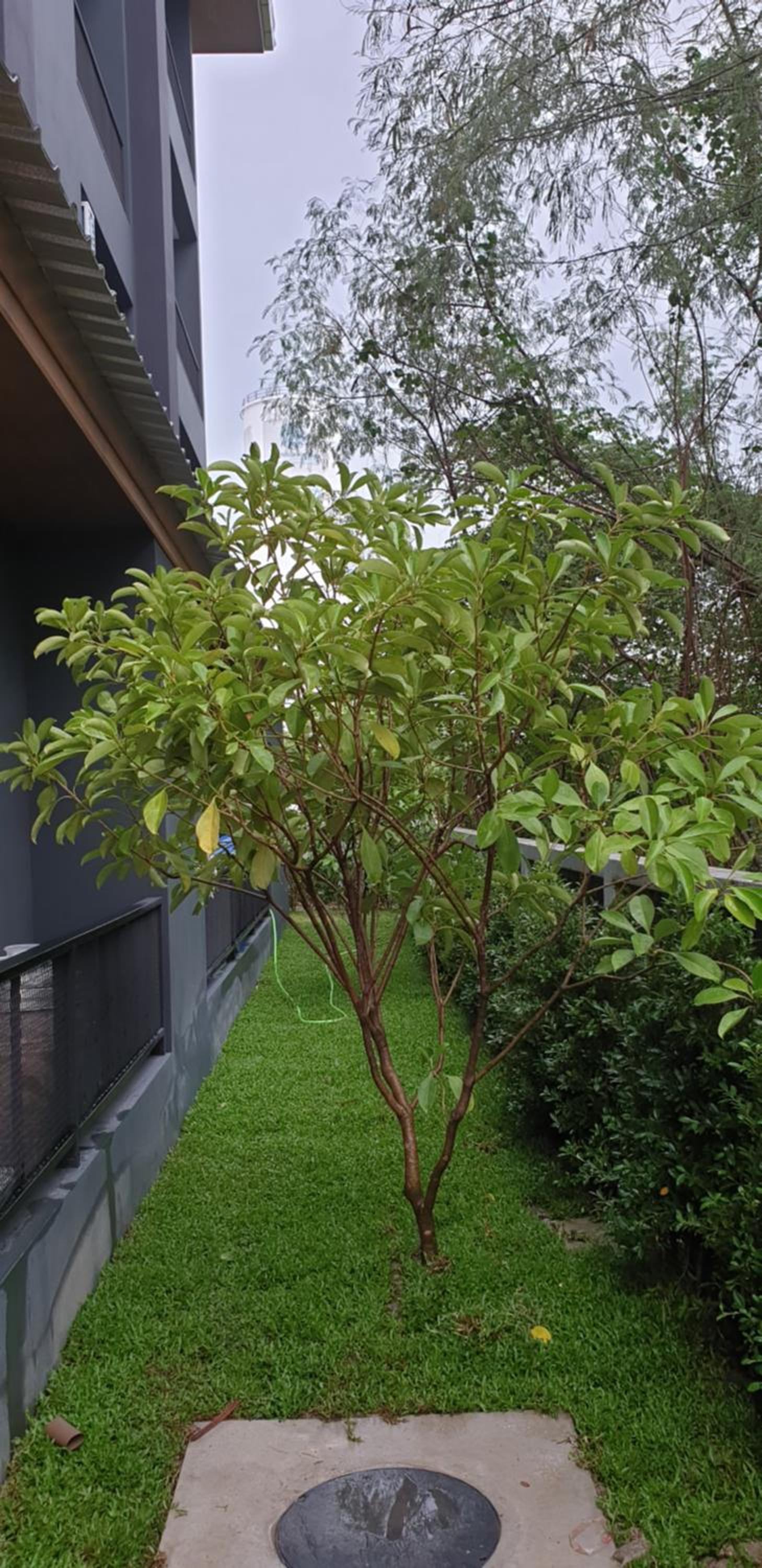 Photo 27