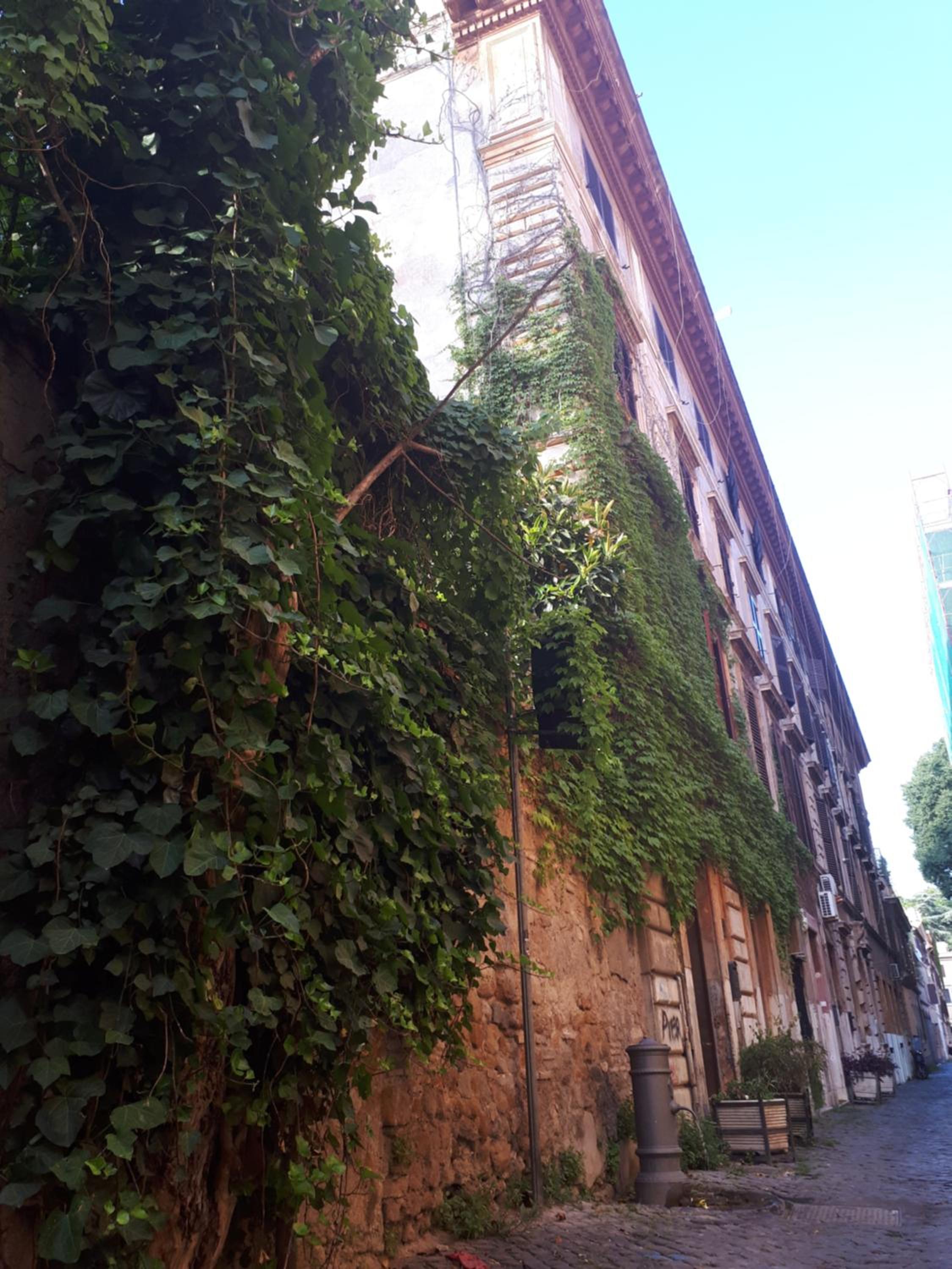 Riari 59 Rome Trastevere - Rome Vacation M&D