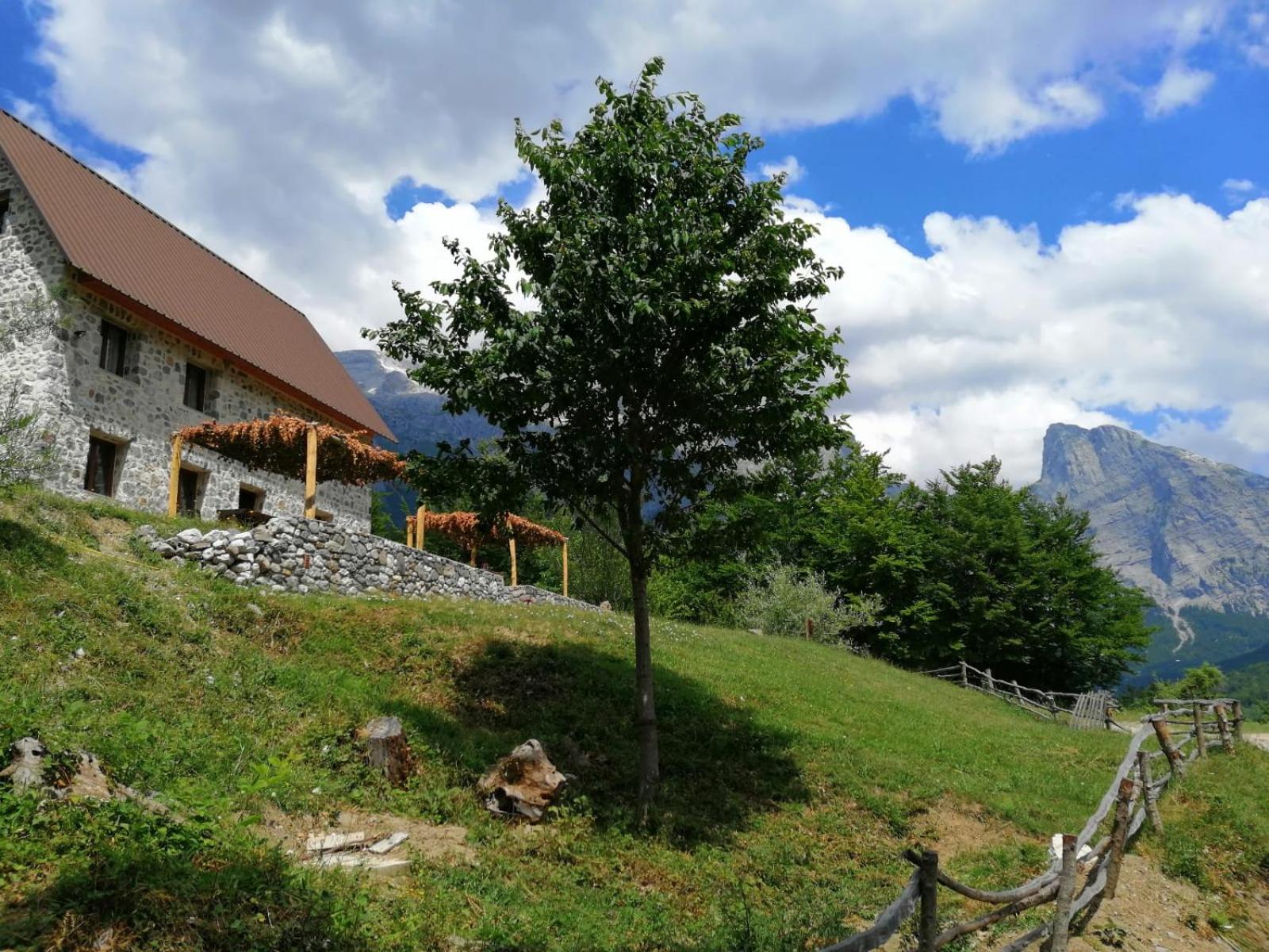 Guest house PANORAMA