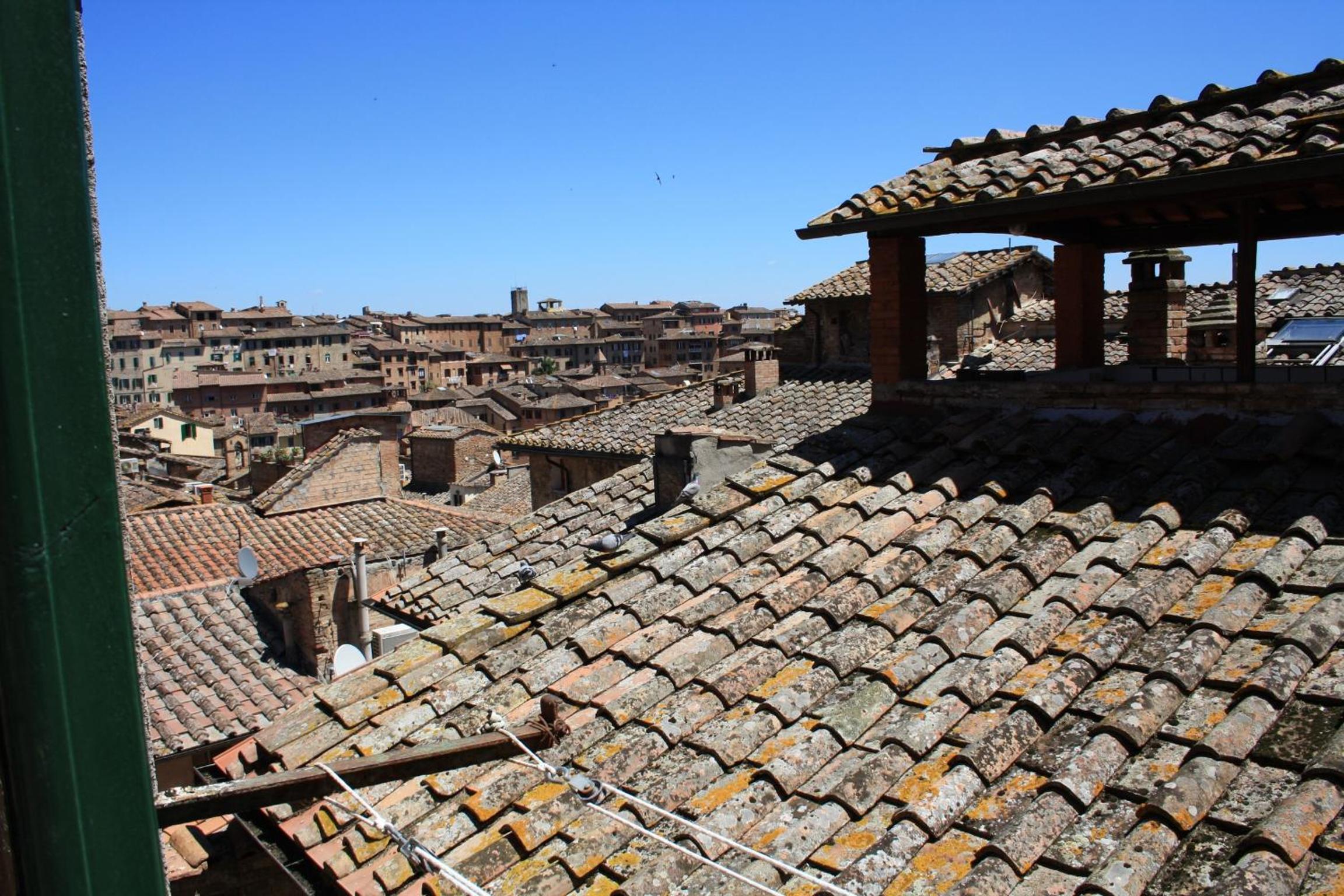 roof