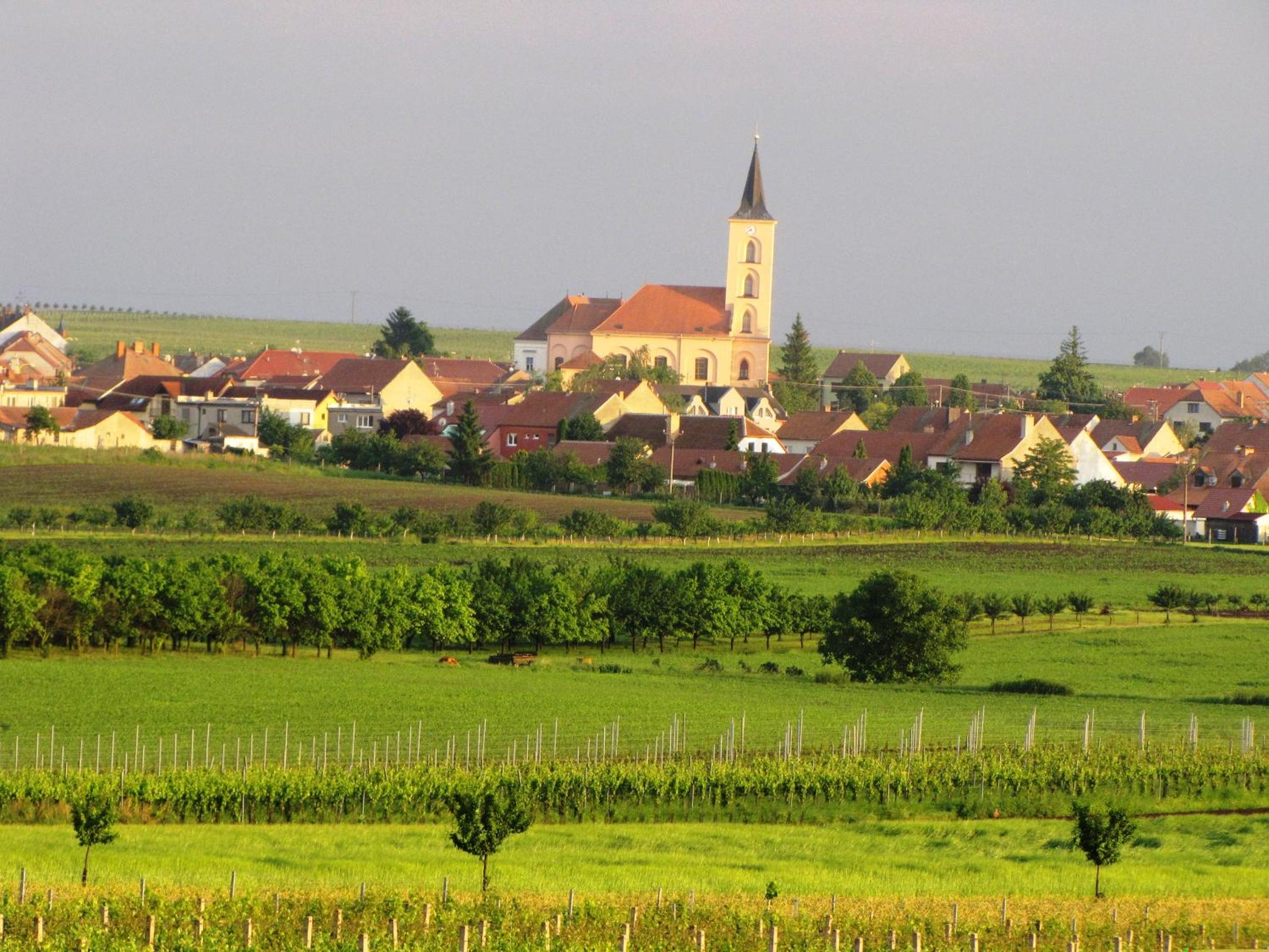 Photo 24