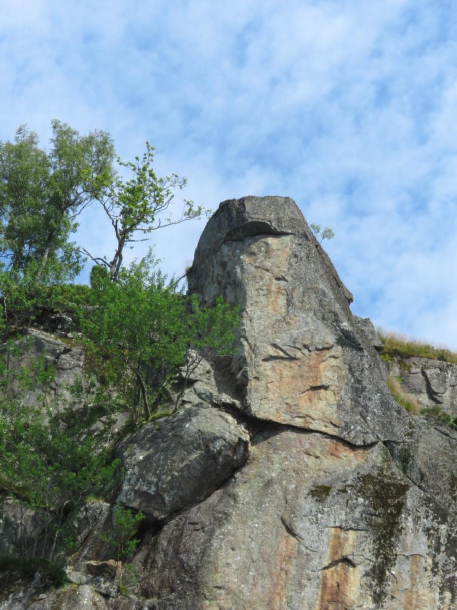 Photo 47