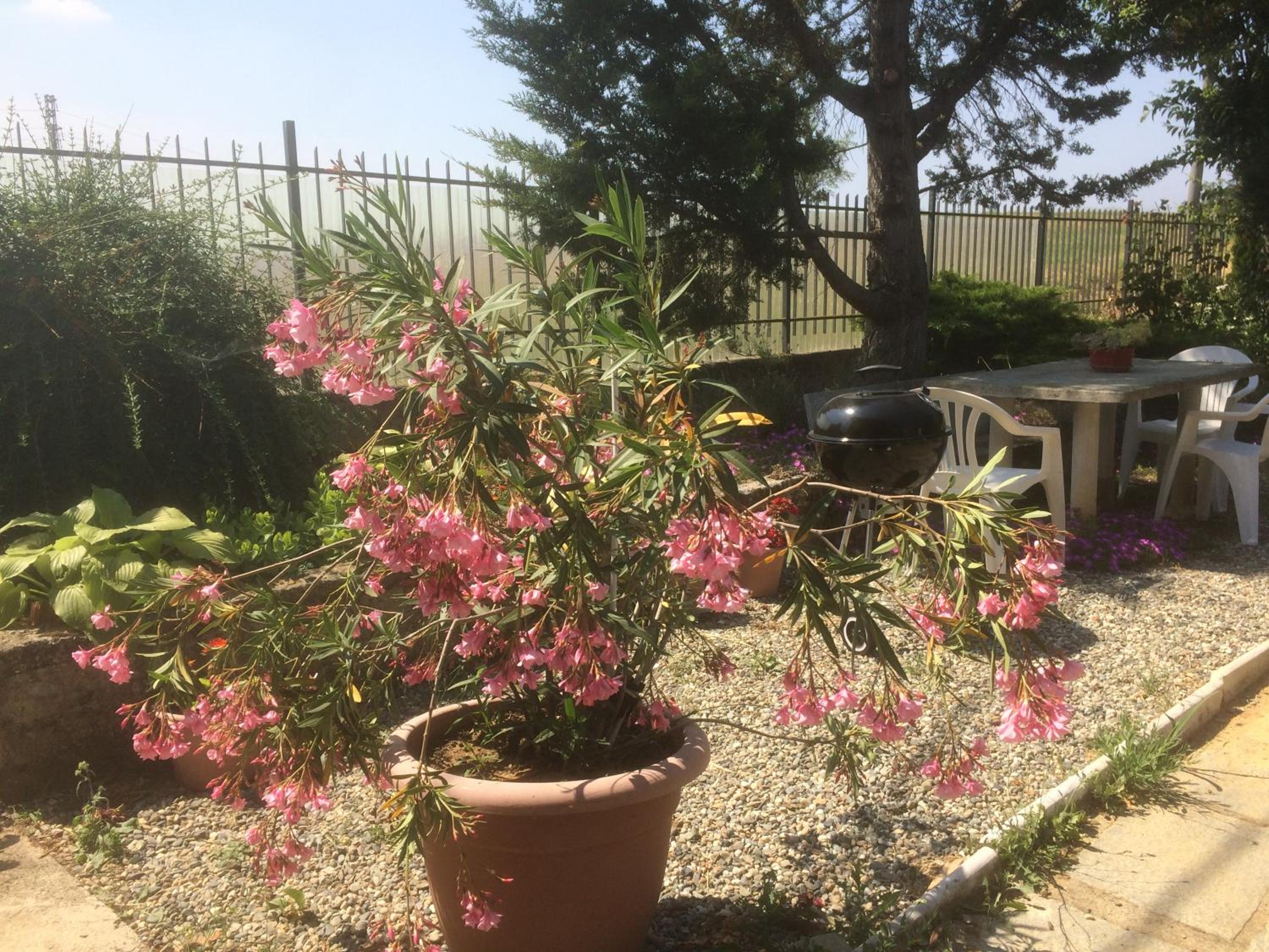 Ca' Fiorita view 5