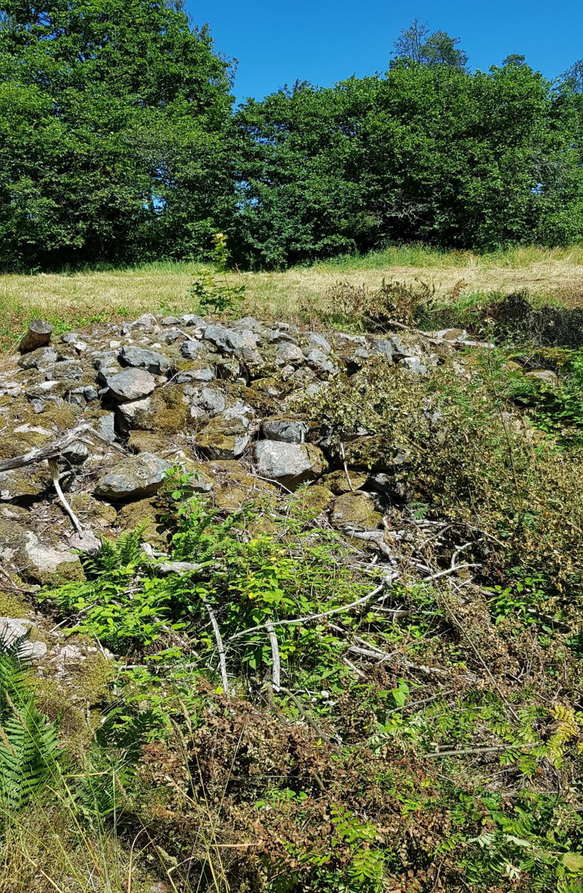 Photo 32