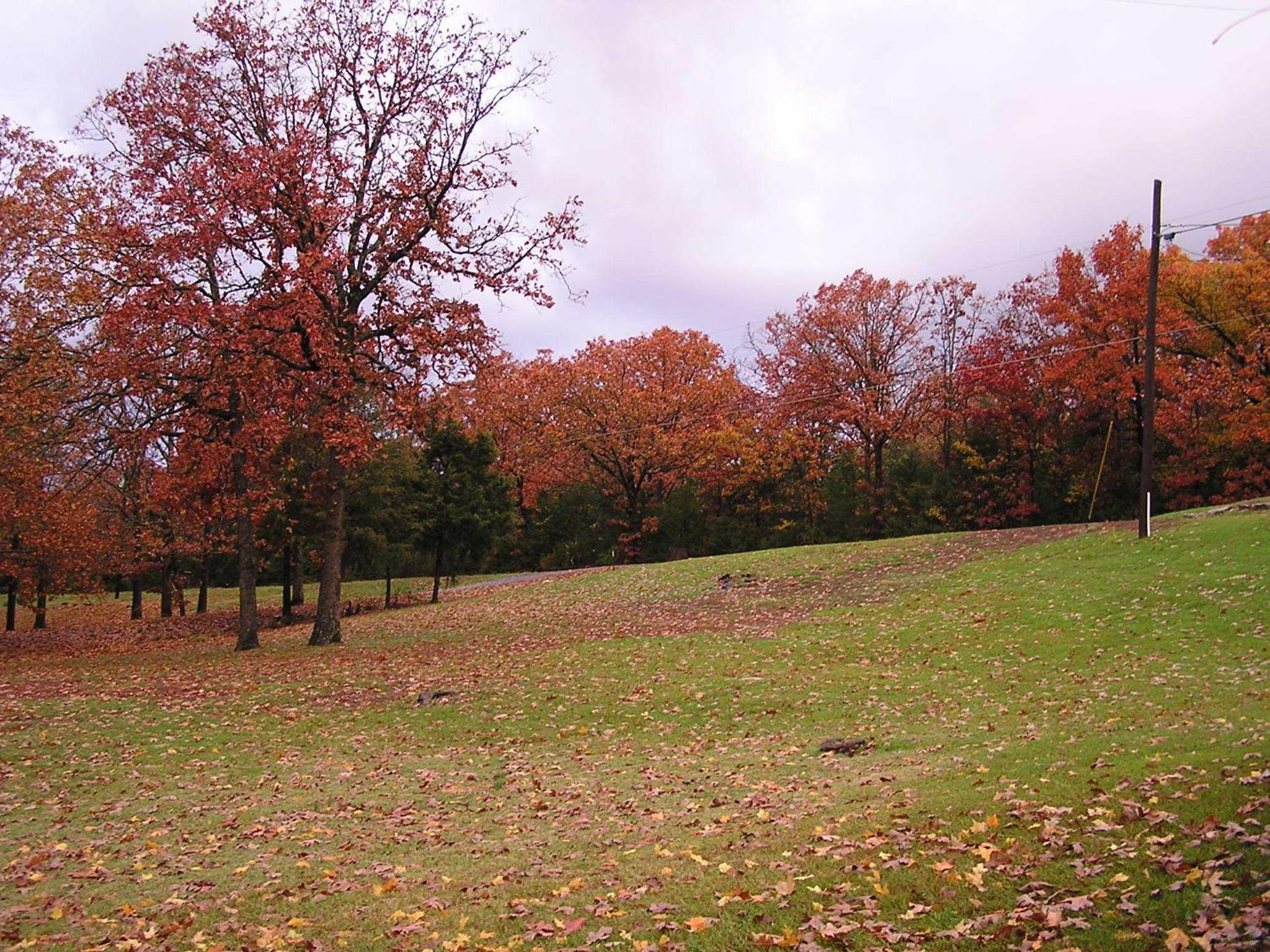 Mill Creek Resort on Table Rock Lake