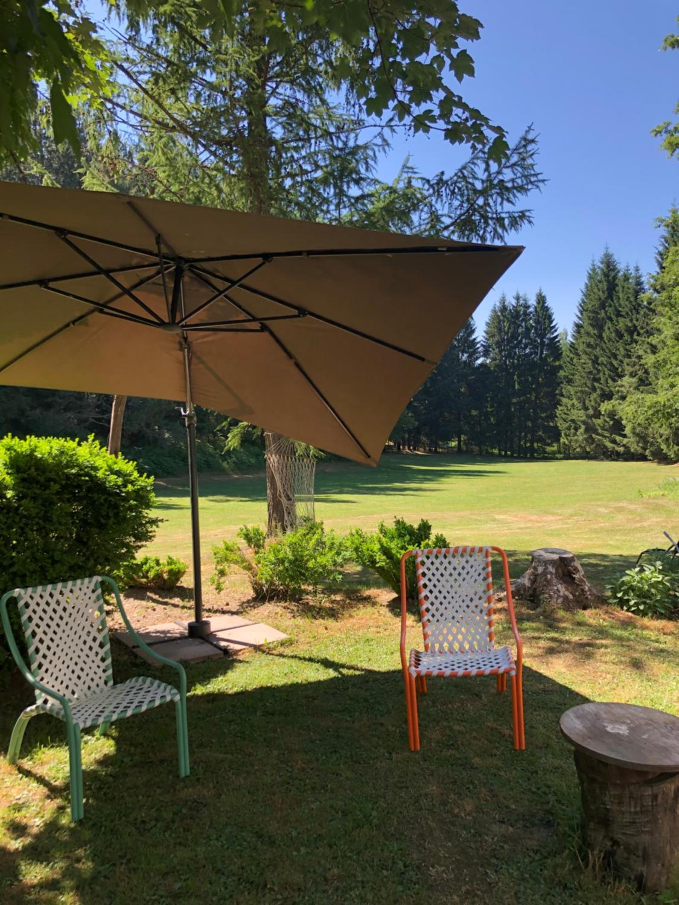 Agriturismo La Casa Nel Bosco view 5