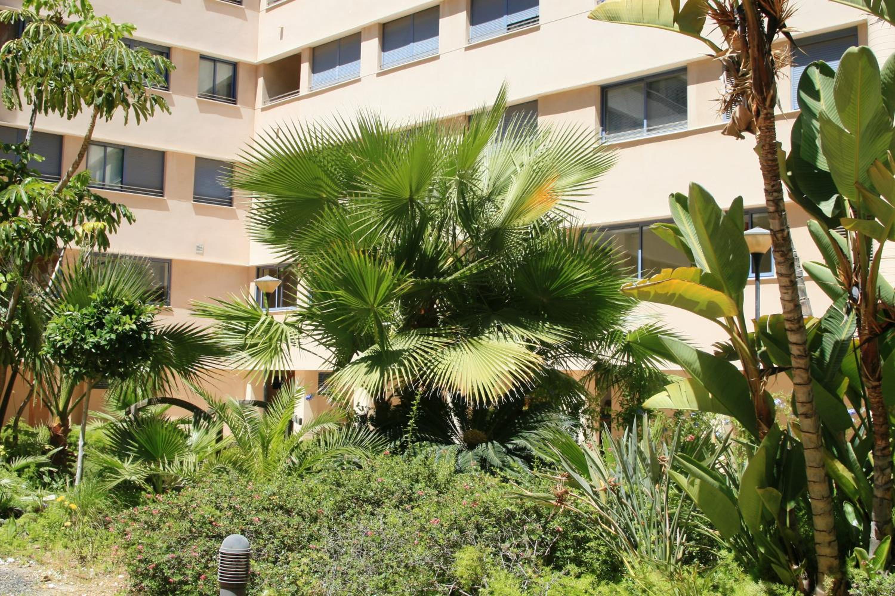 APARTAMENTO MALAGA CENTRO Y PLAYA-PARKING