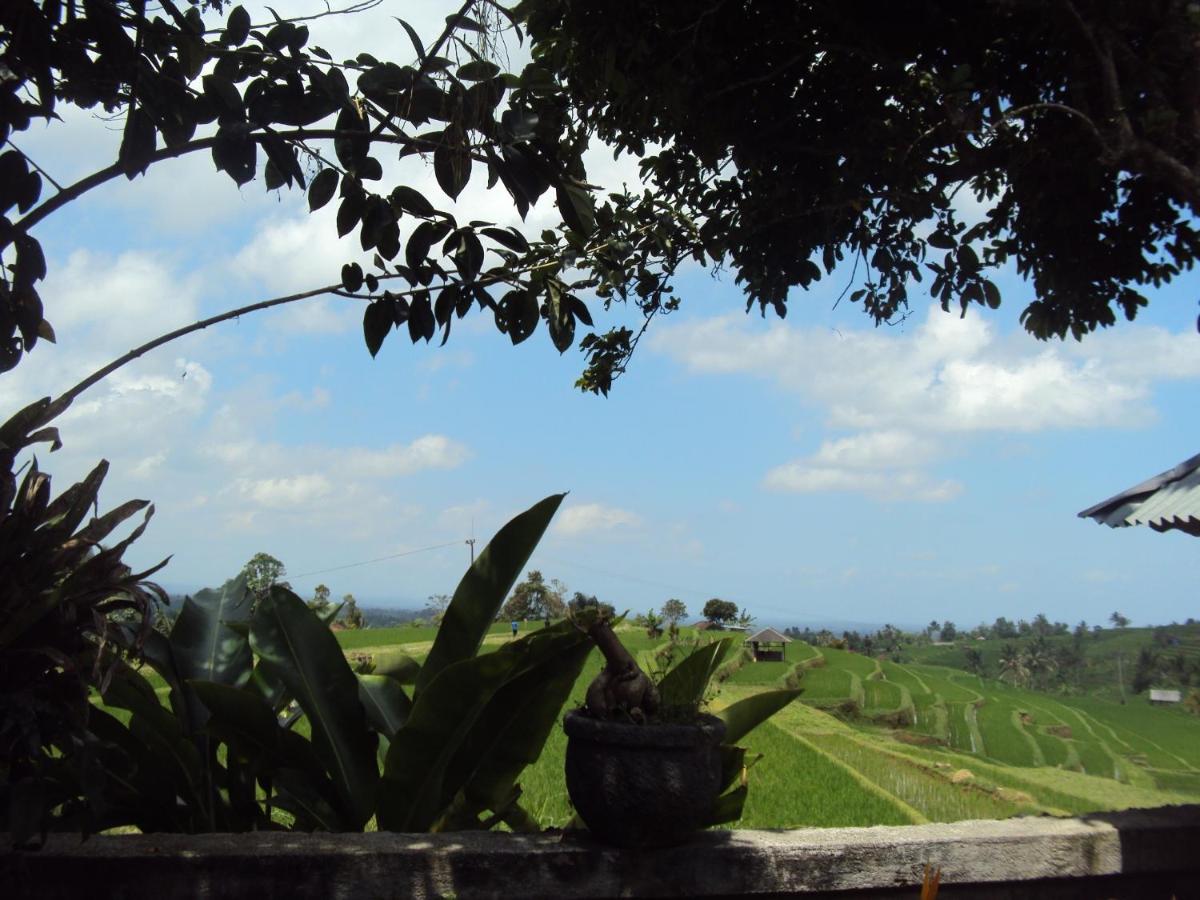 Teras Subak Jatiluwih view 4