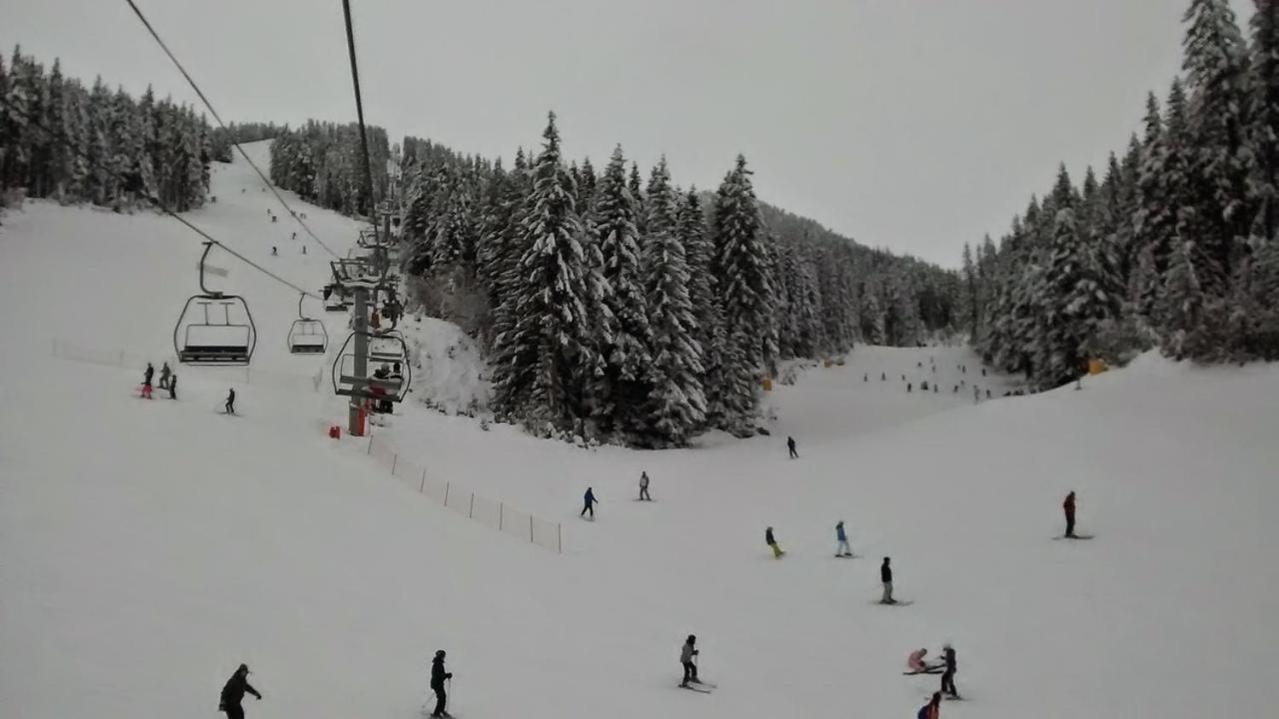 Photo 45