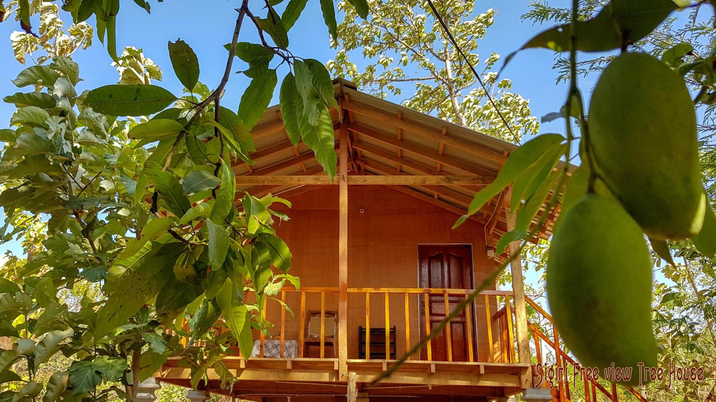Sigiriya Free View Tree House & Villa view 2
