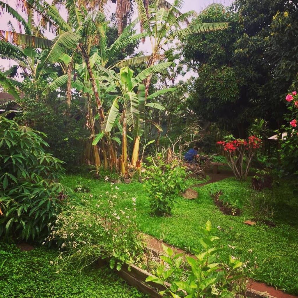 Cabañas Moenga