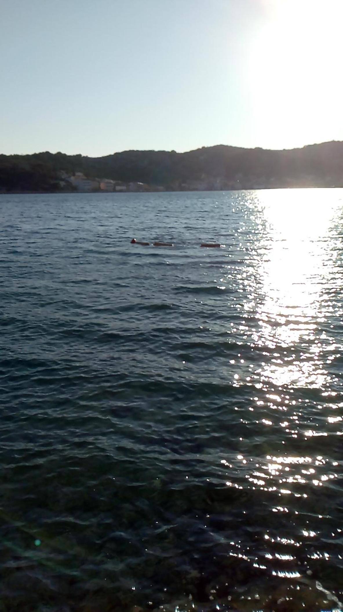 Mladen Vodice
