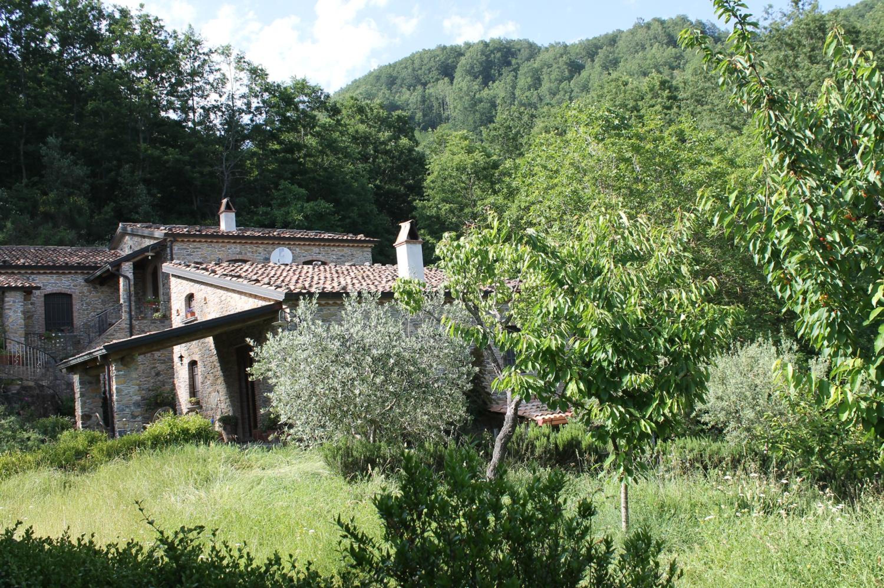 Photo 8