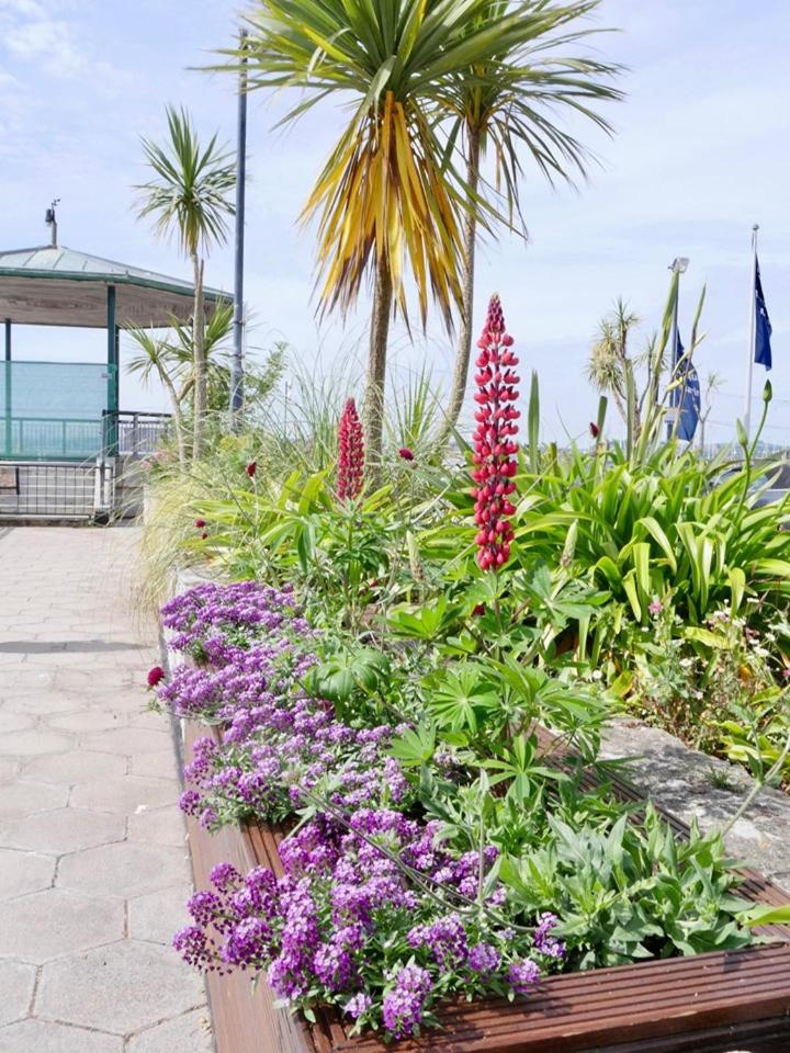 BEACHES - South Sands beach house view 2