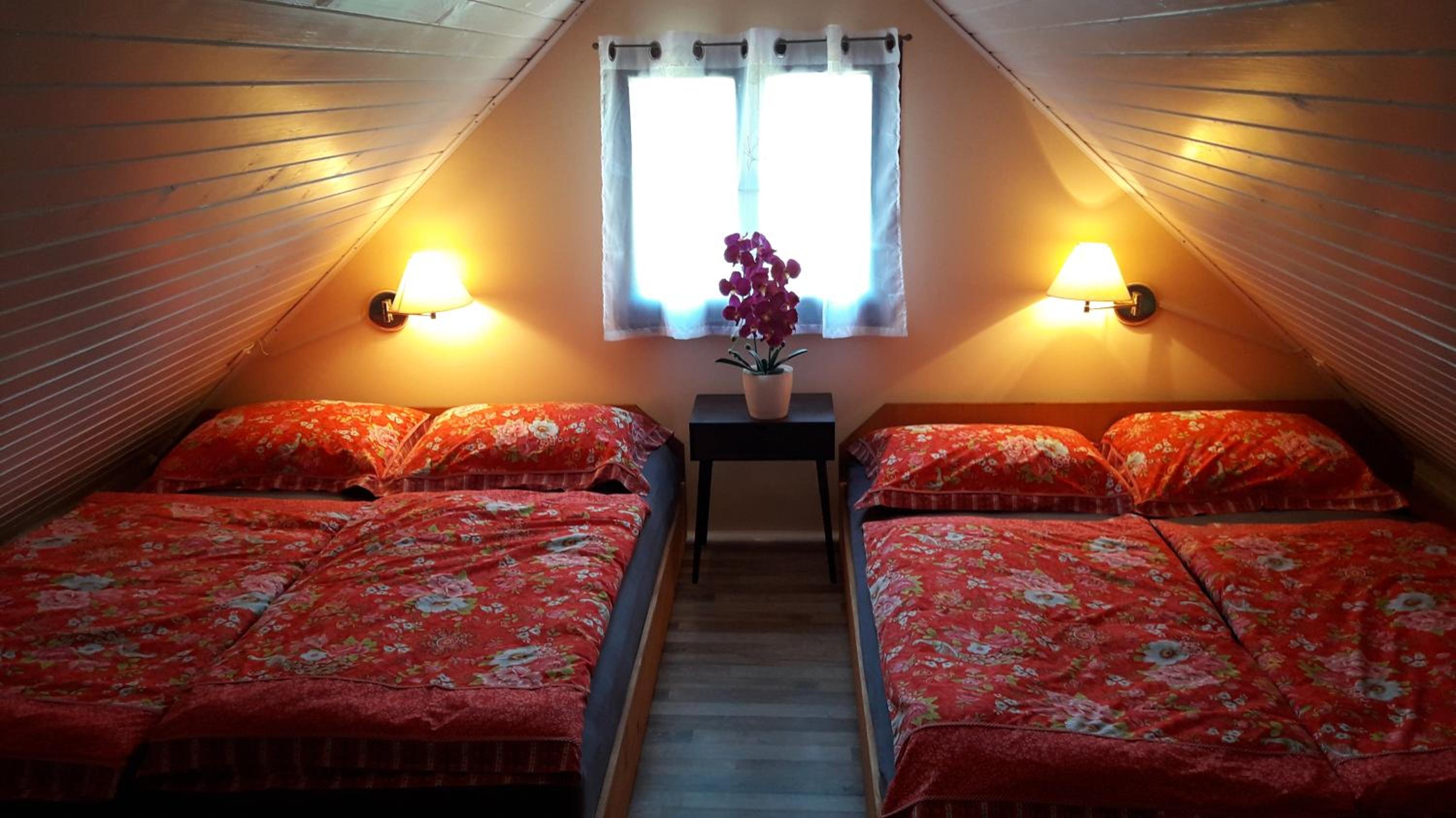 Alpinejka House