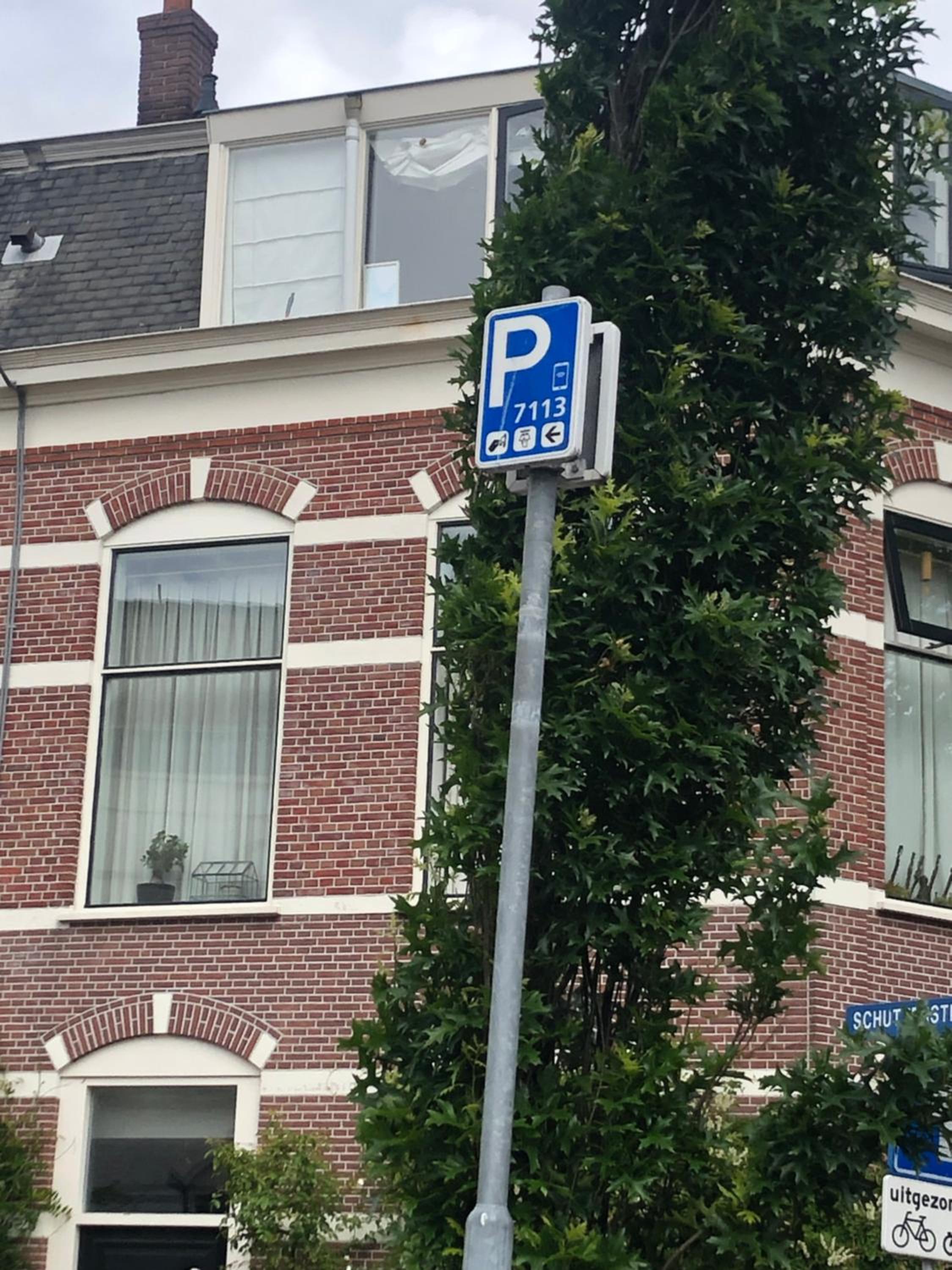 Photo 19