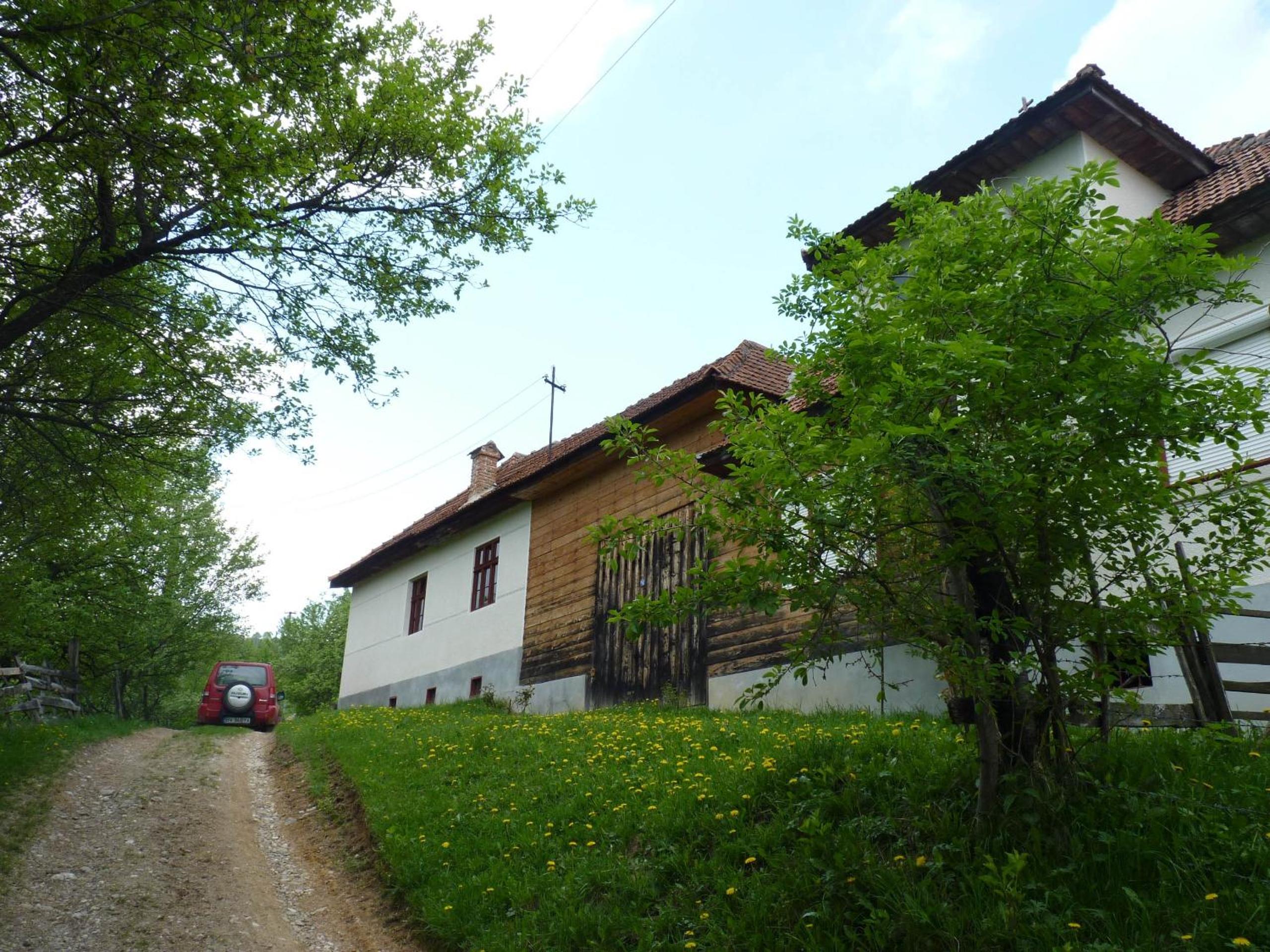 Photo 7