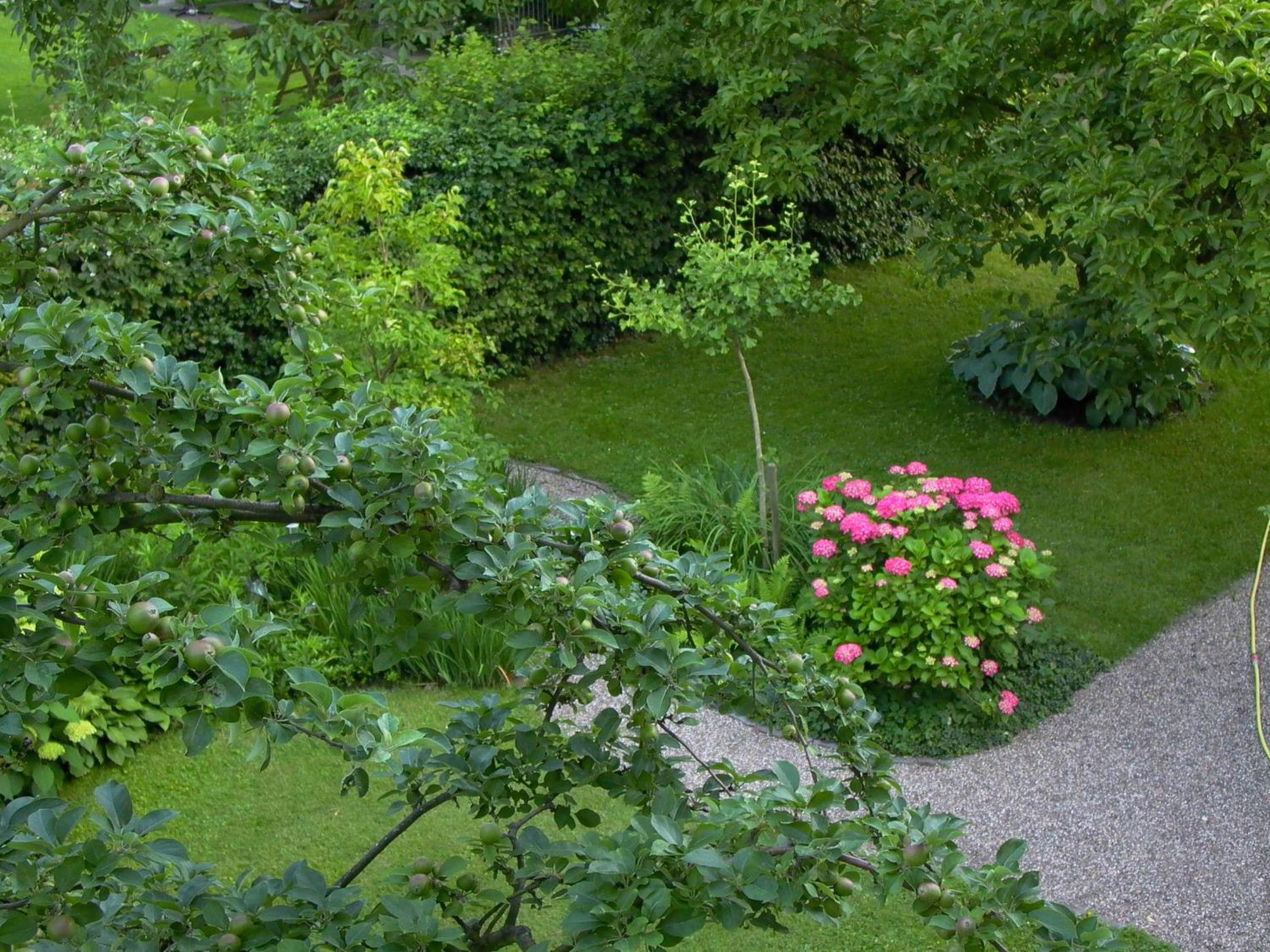 Photo 25