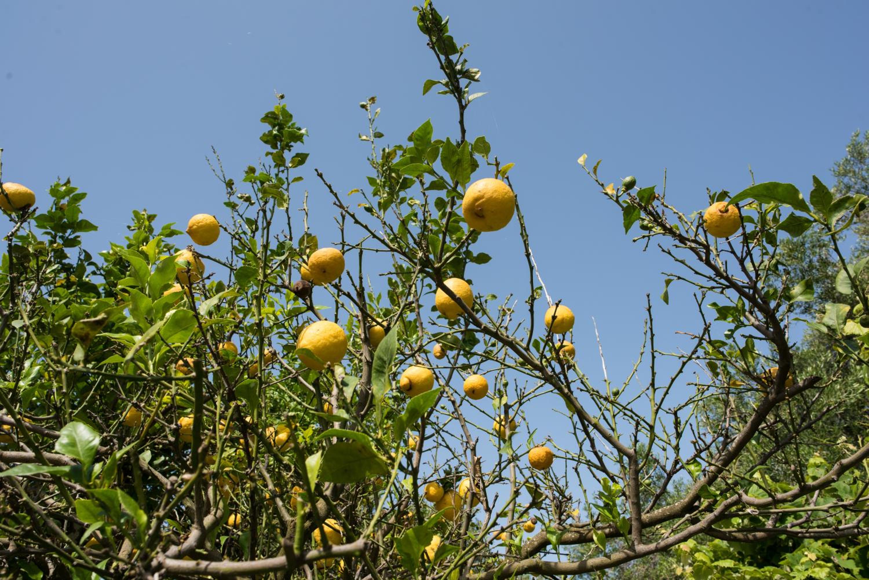 Photo 20