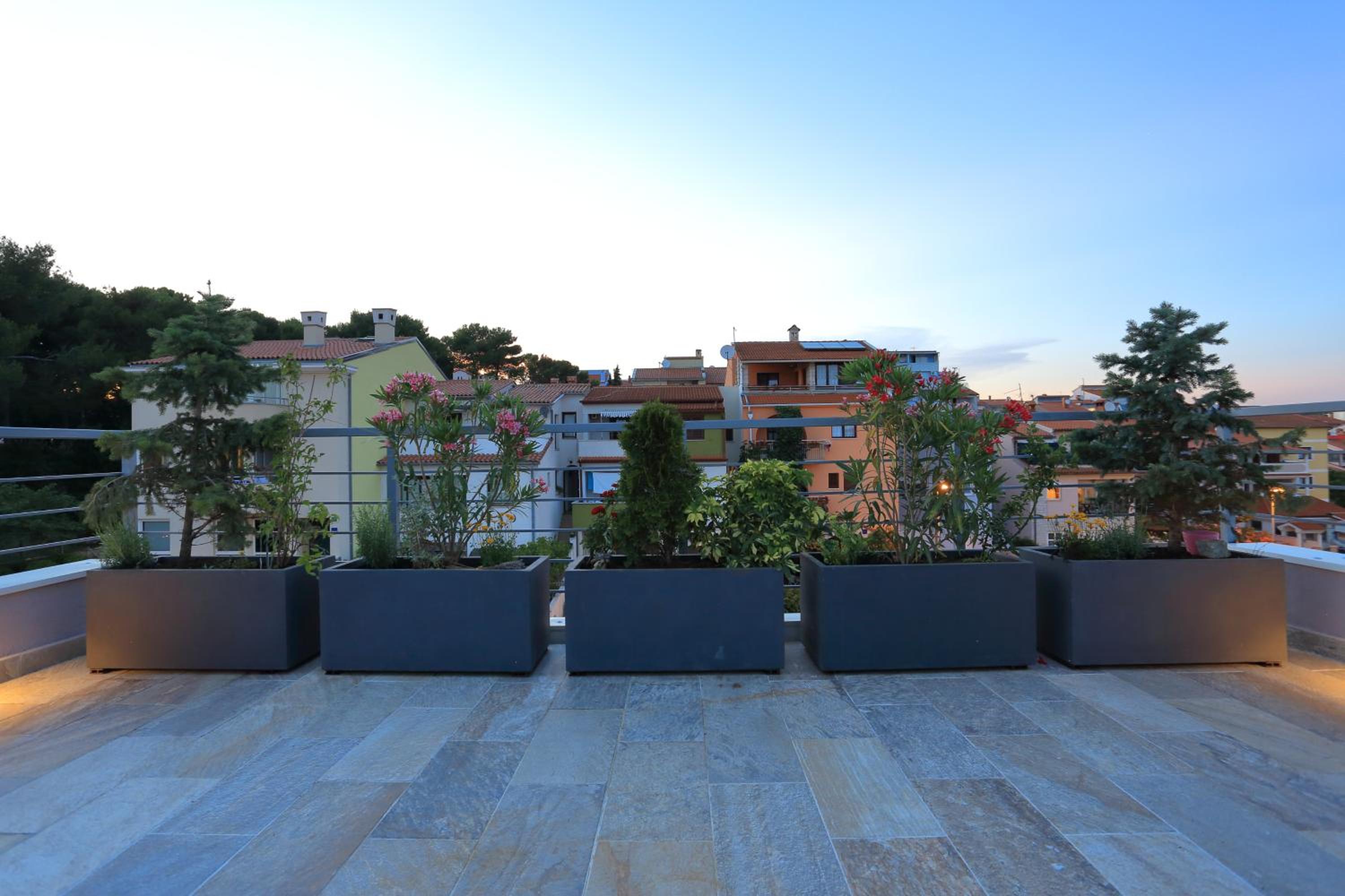 roof