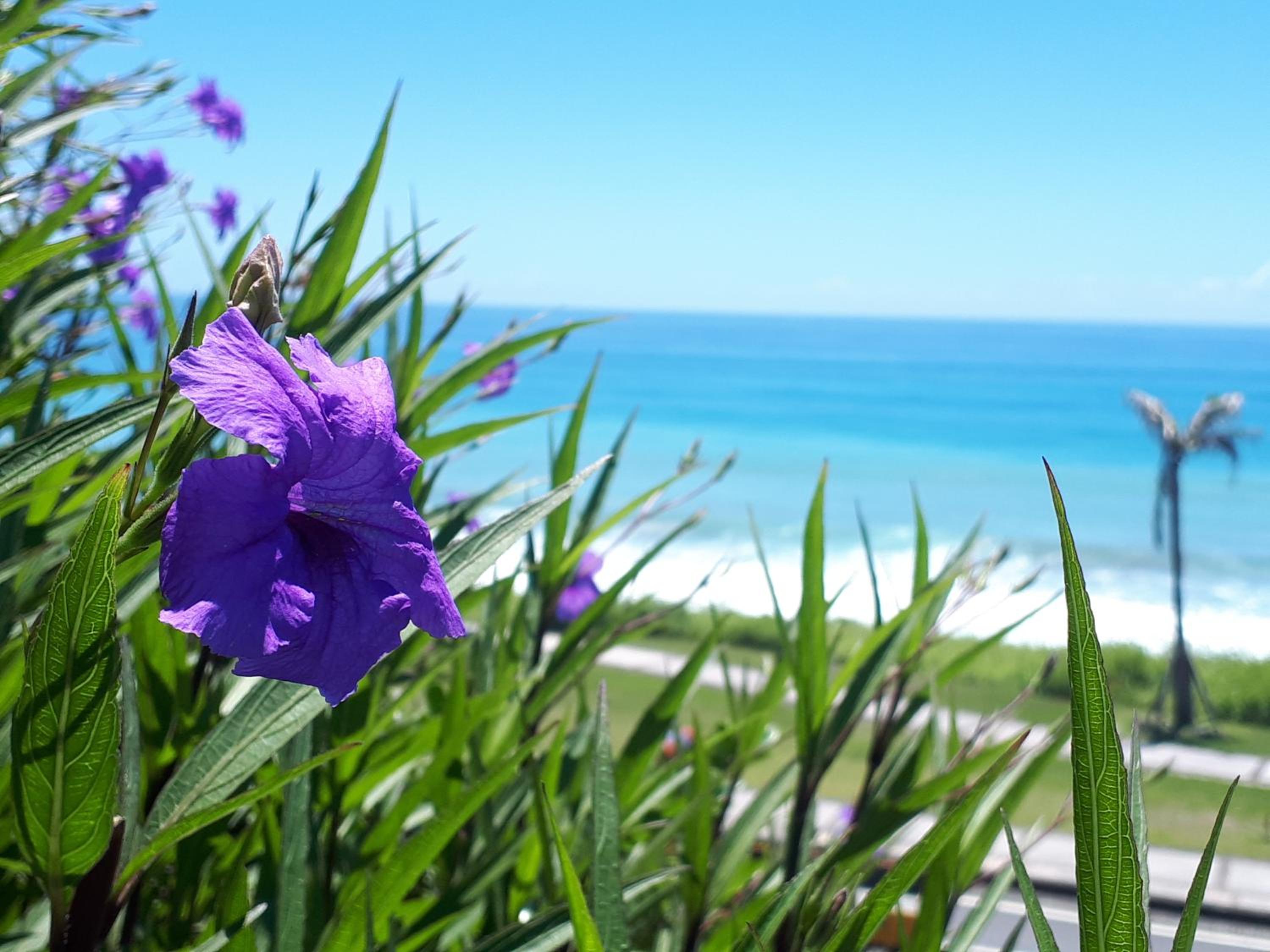 Sunny Ocean B&B