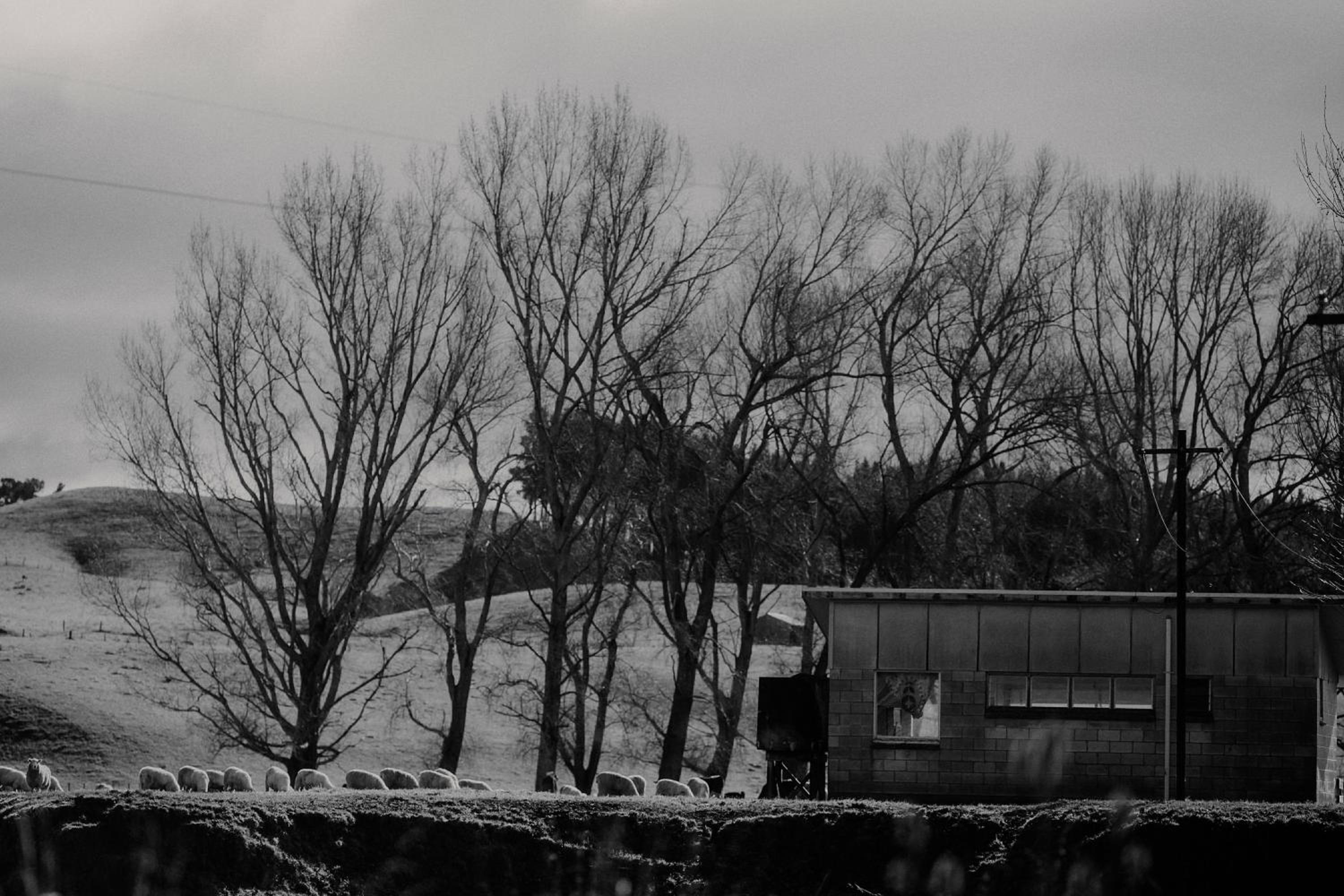 Photo 42