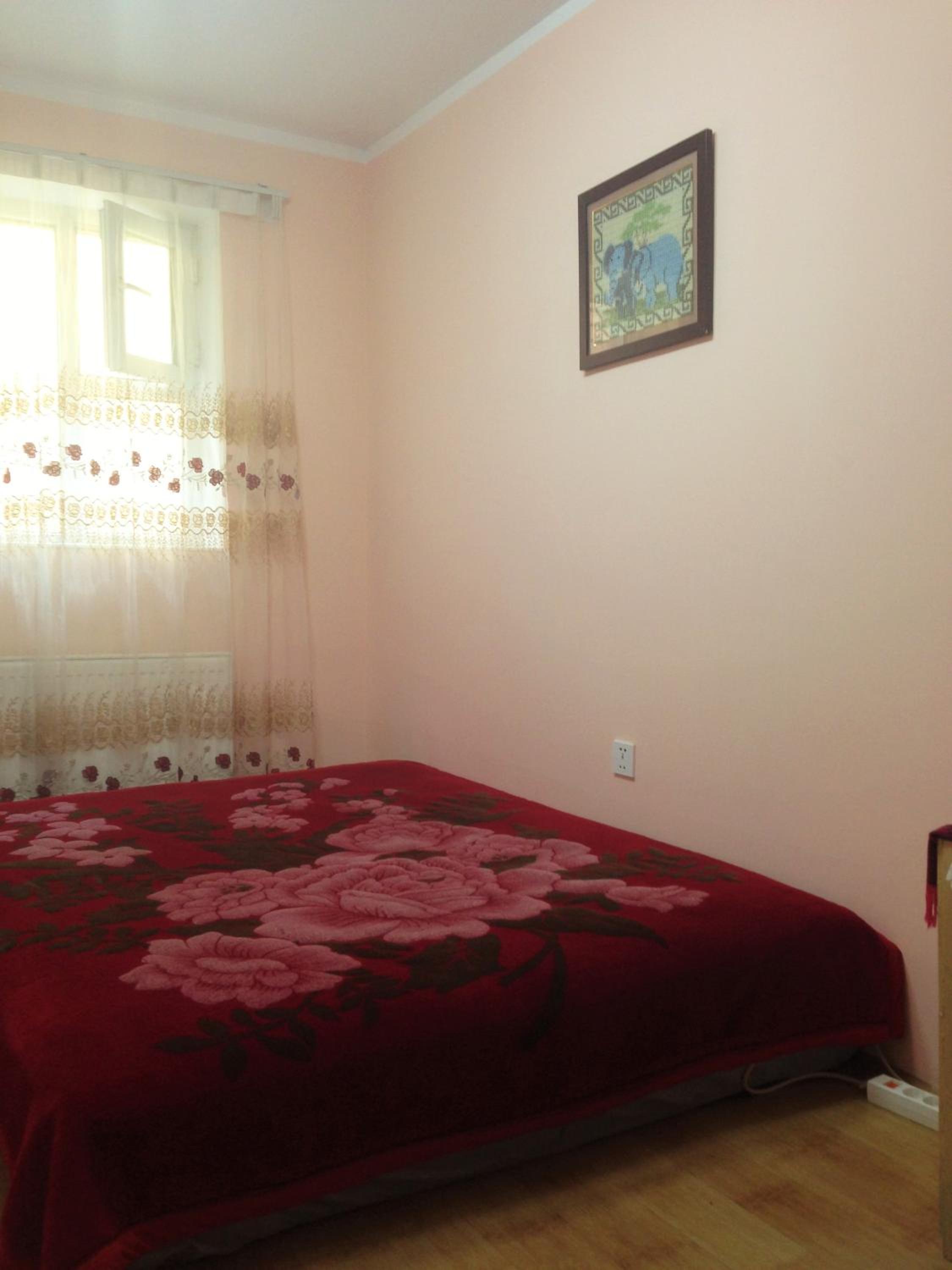 Town Yard Hostel, photo 41