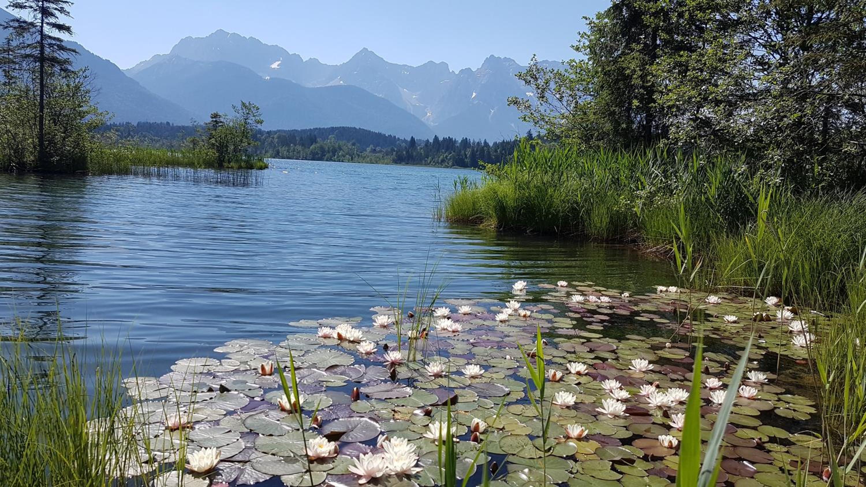 Ferienwohnung Soiernblick Krün Bärnbichl view 2