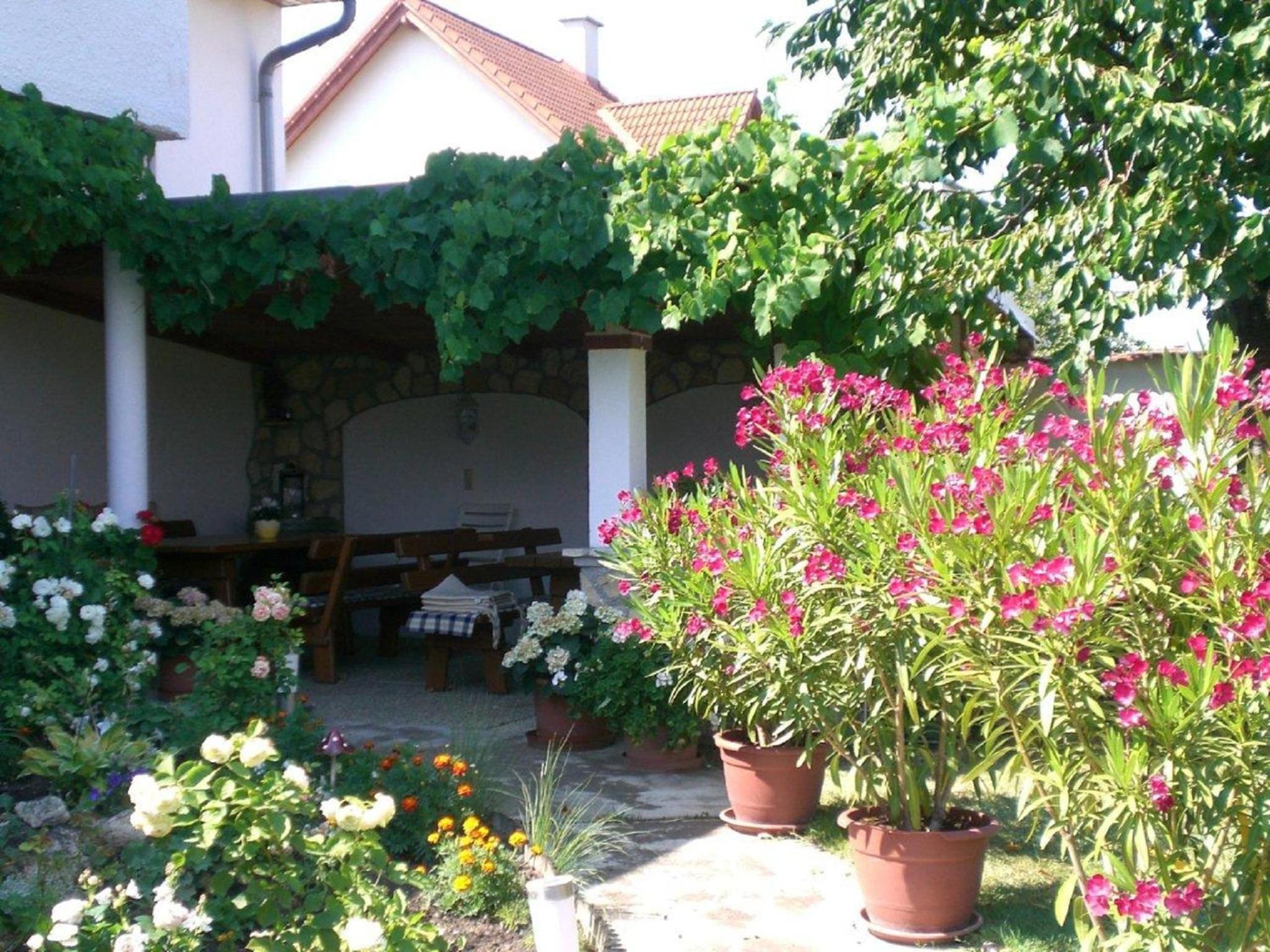 Photo 46