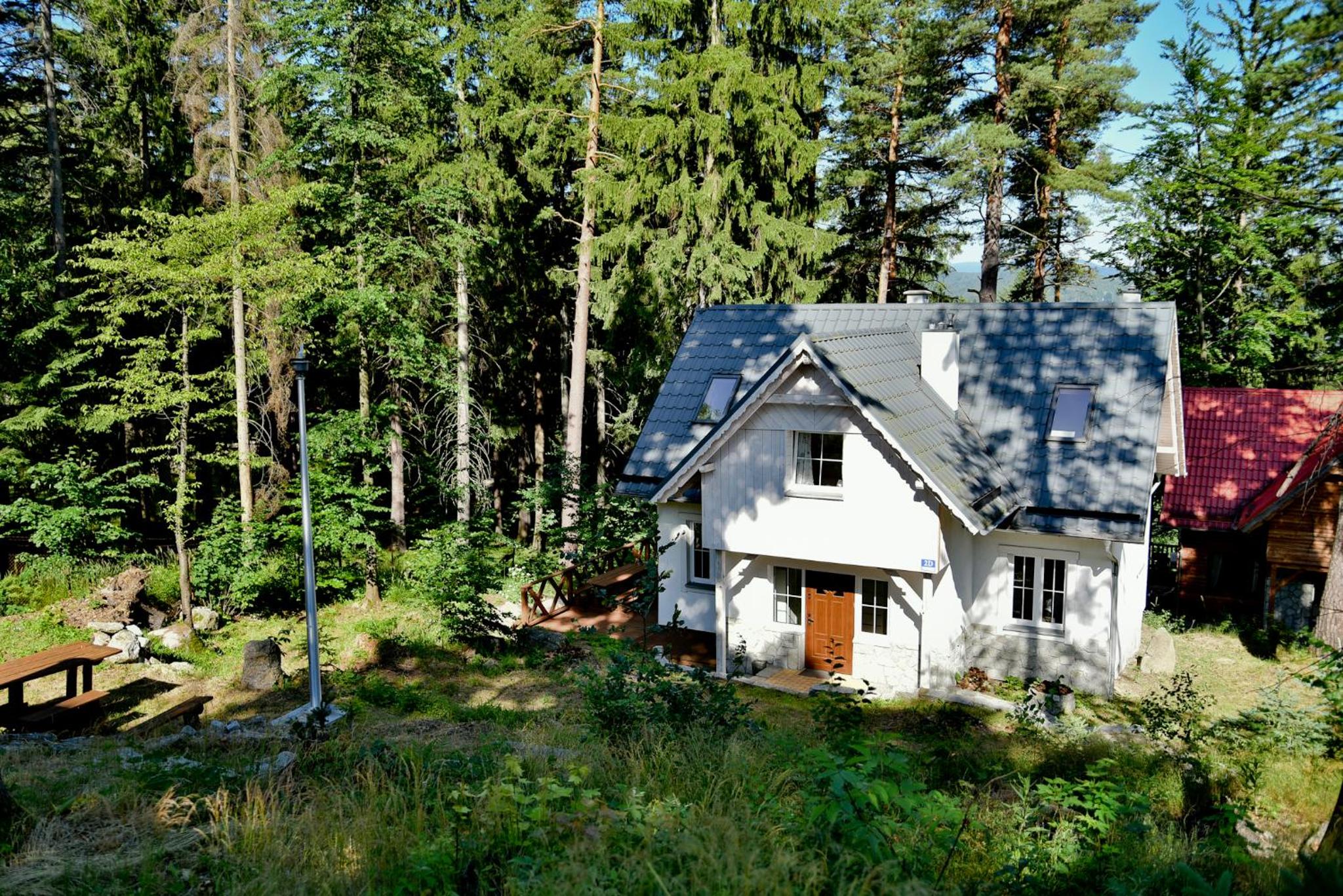Photo 42