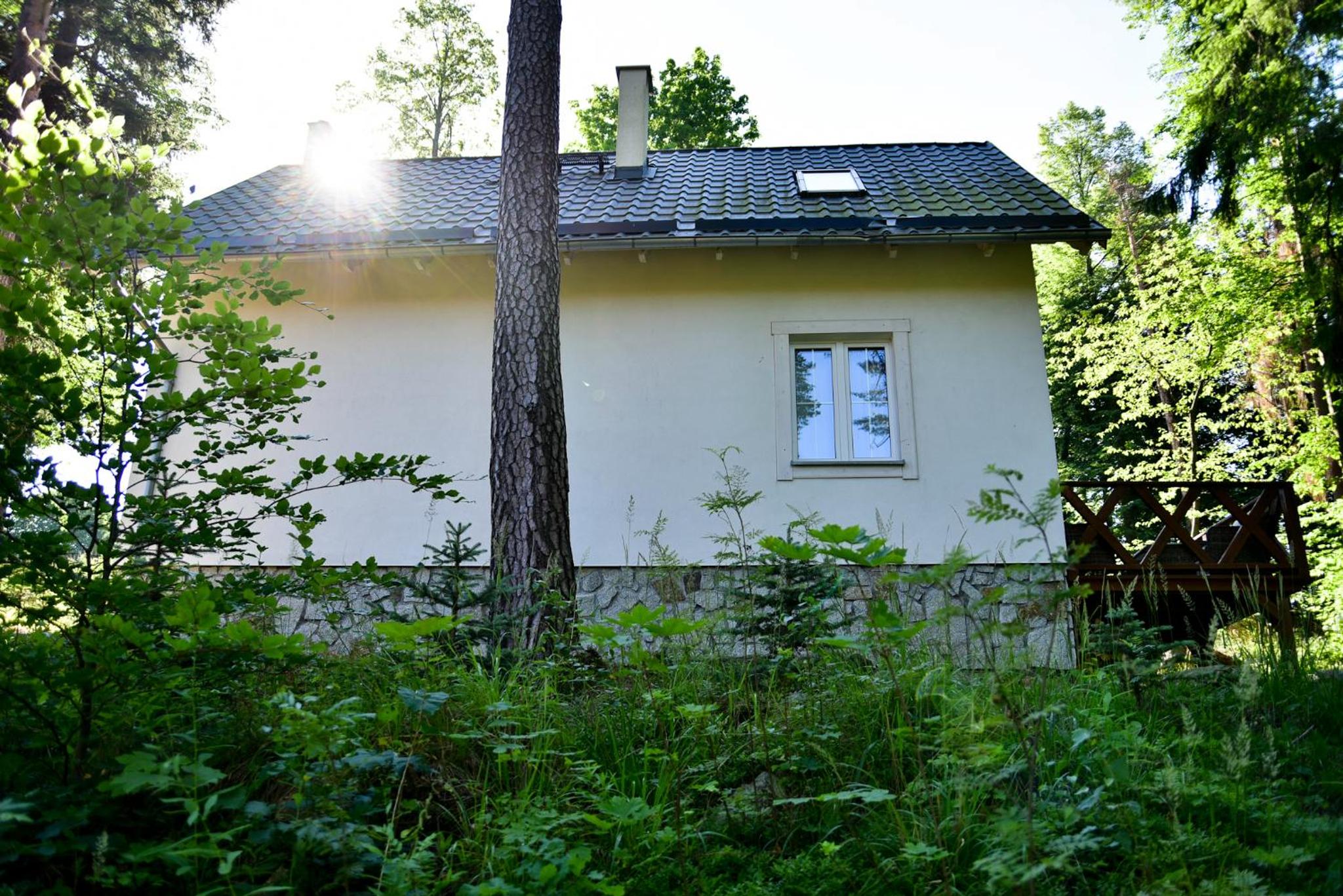 Photo 6
