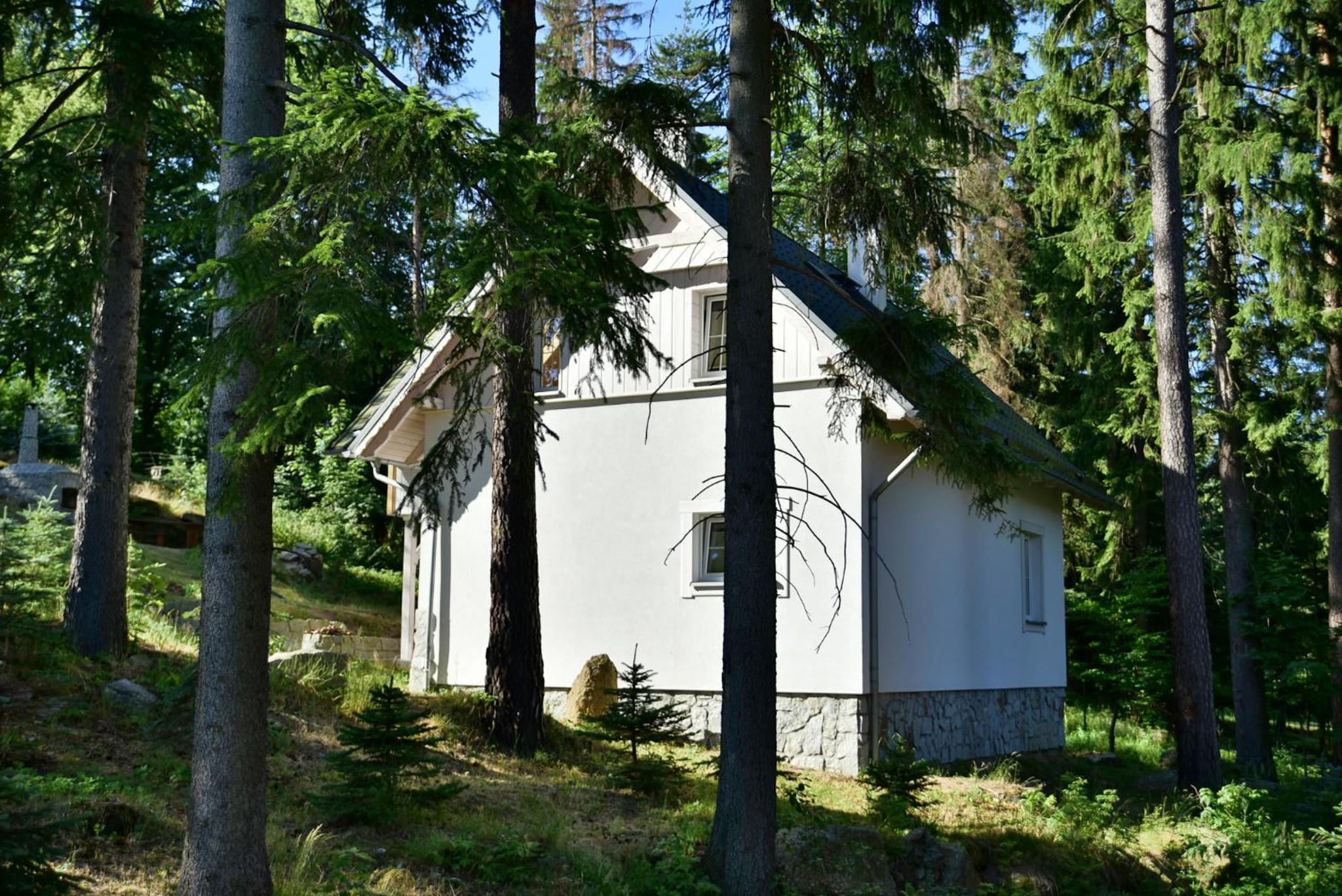 Photo 46
