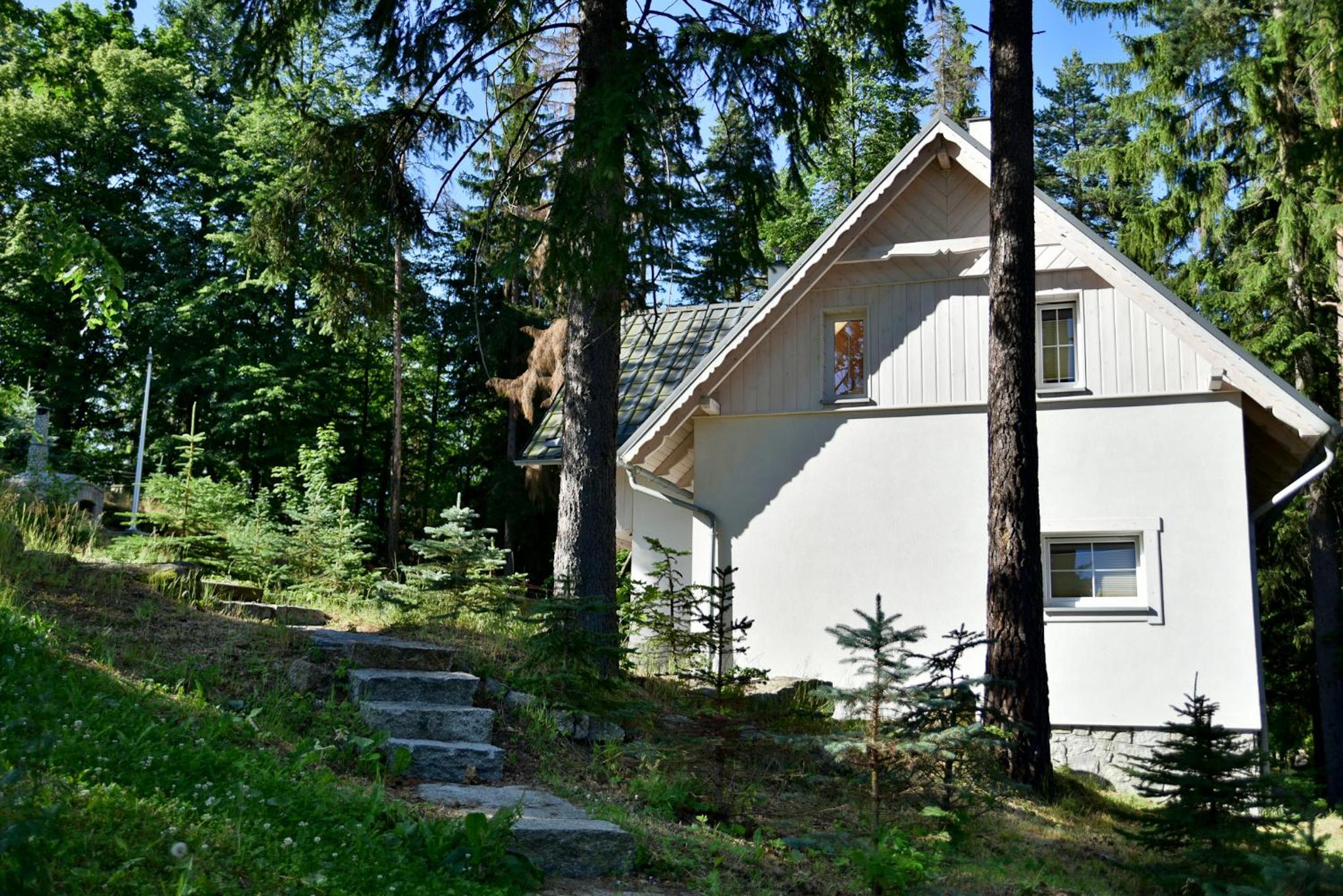 Photo 45