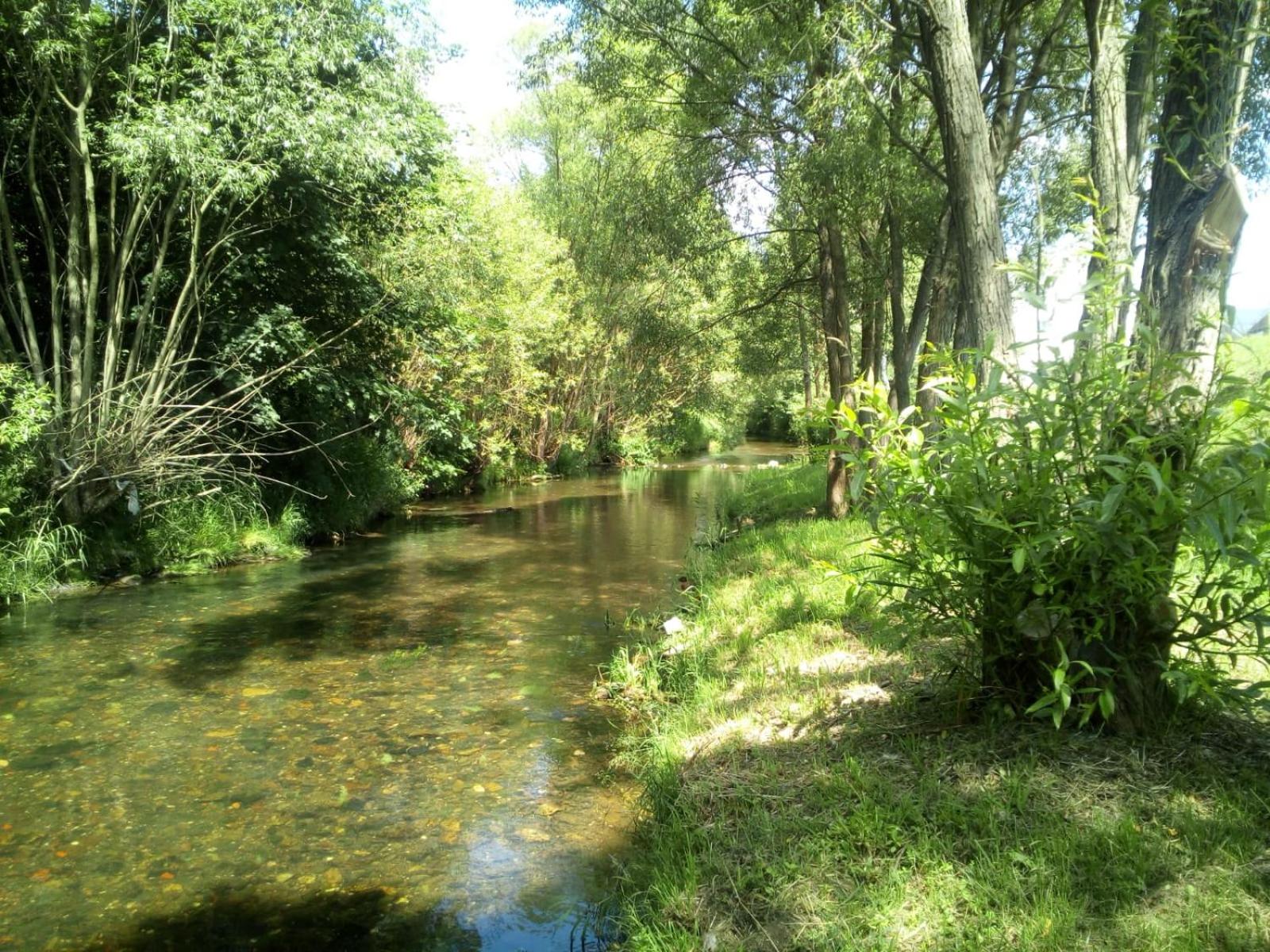 PRZYSTAŃ NAD BOBREM view 5