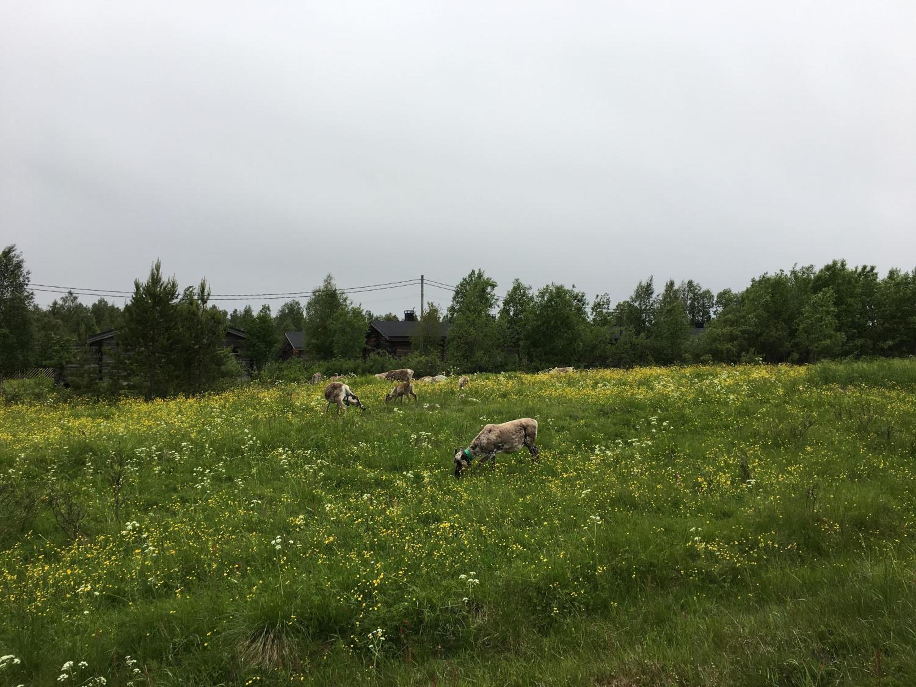 Photo 27