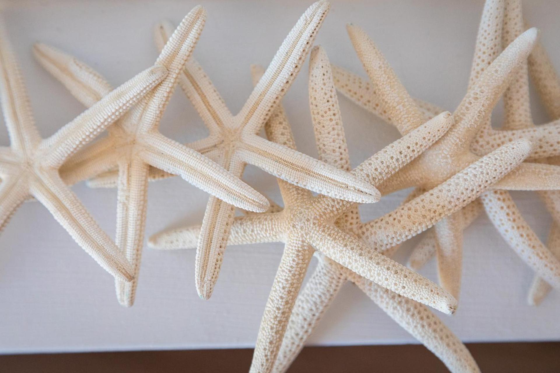 MAISON MOMA