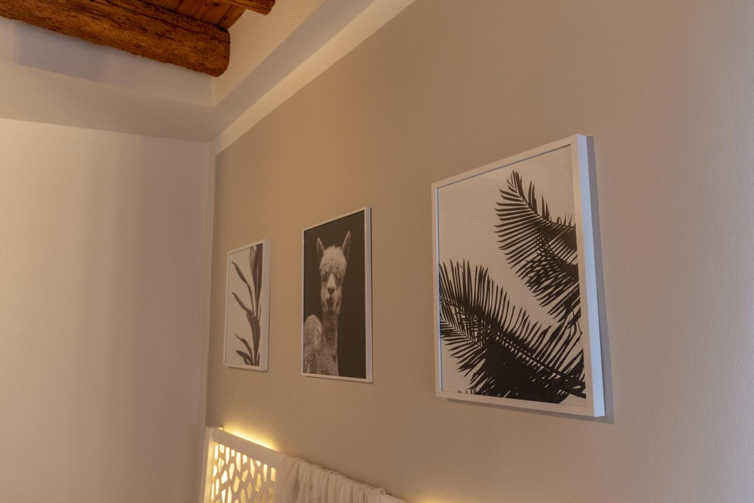 La Casa di Bassano view 5