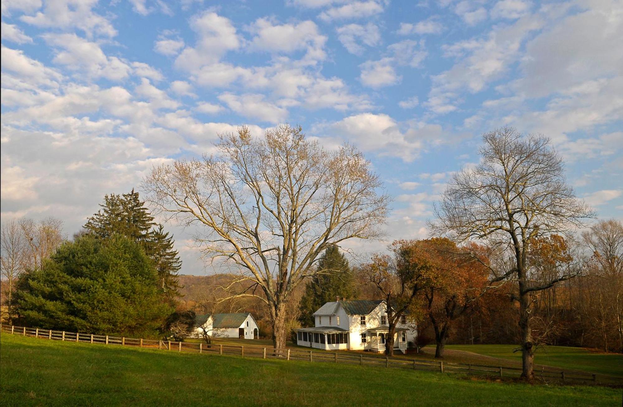 Walnut Run Farm view 3