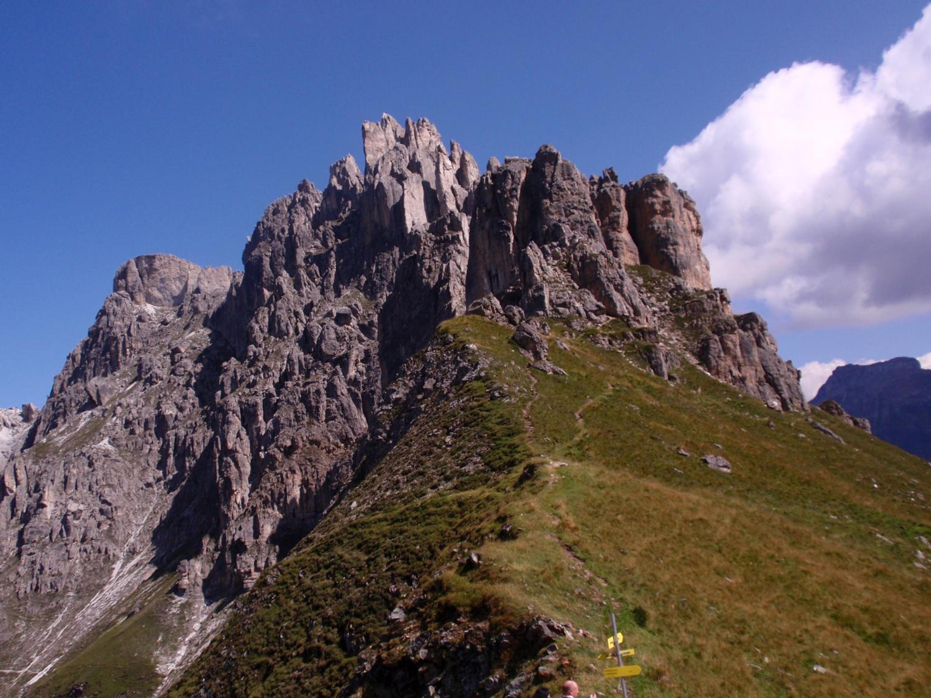 Photo 46
