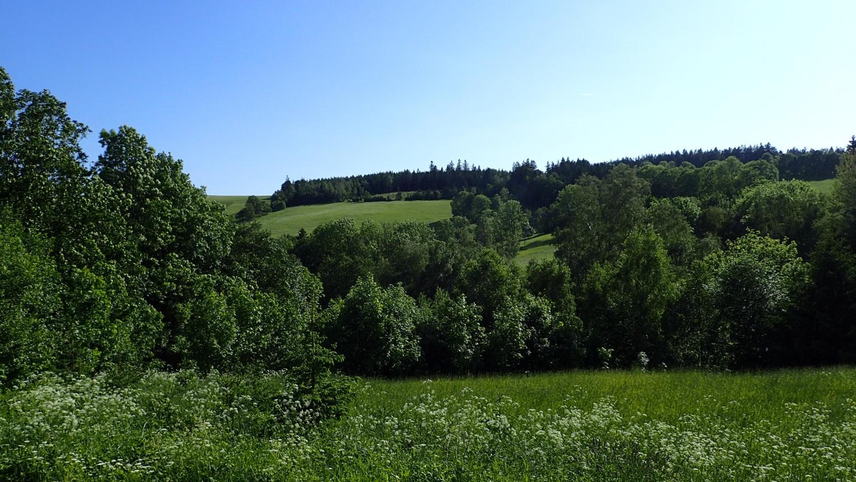 Photo 33