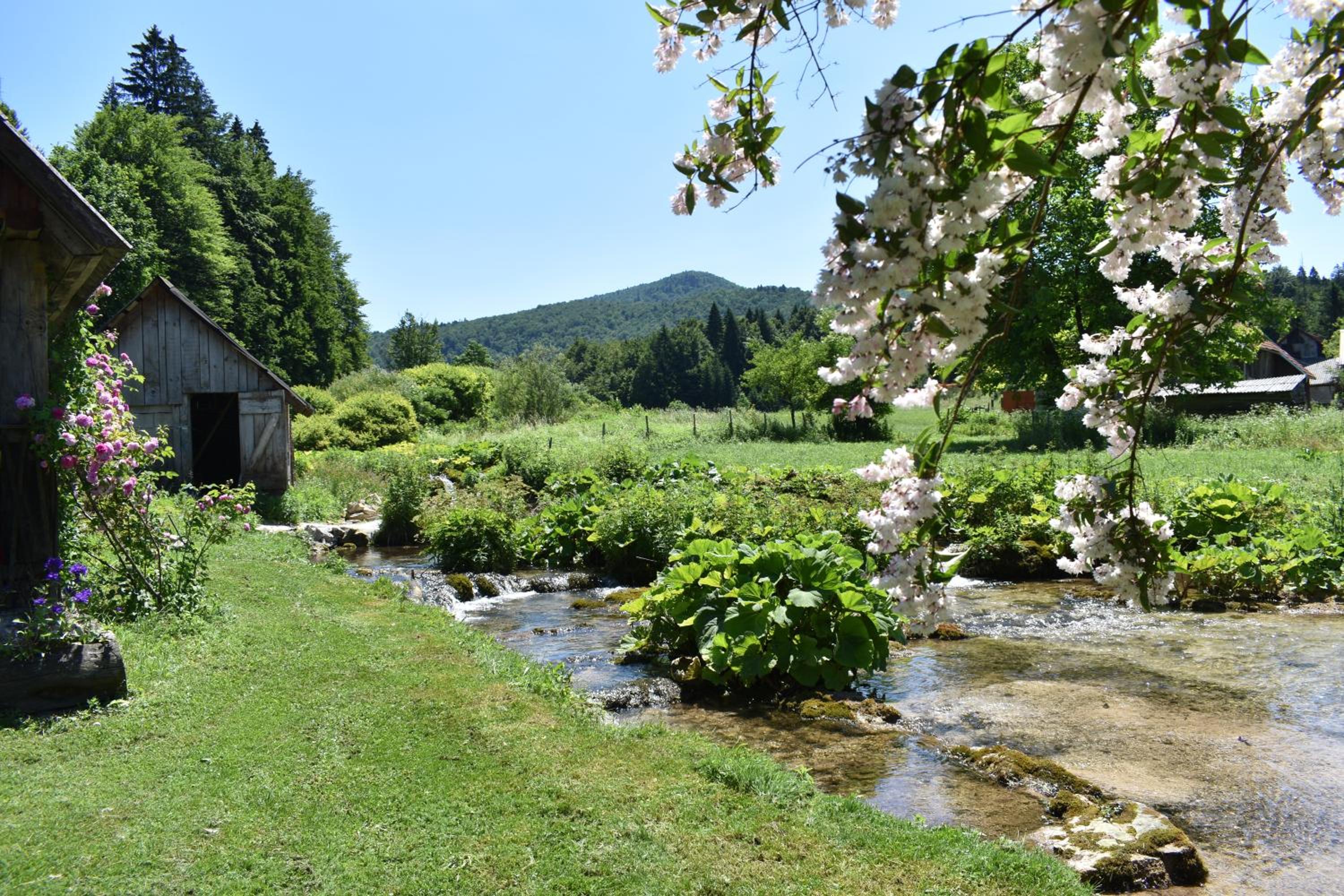 Photo 11