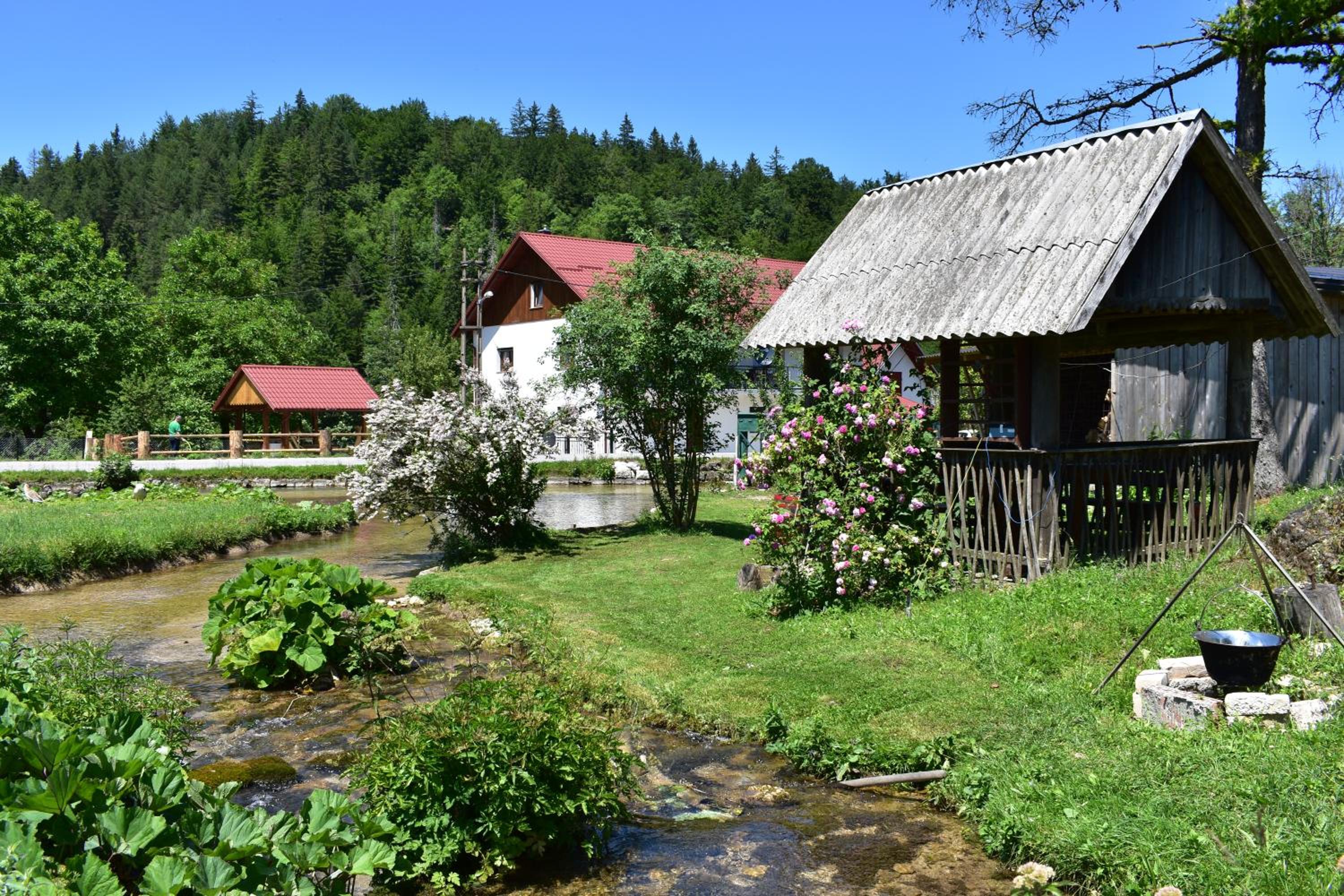 Photo 42