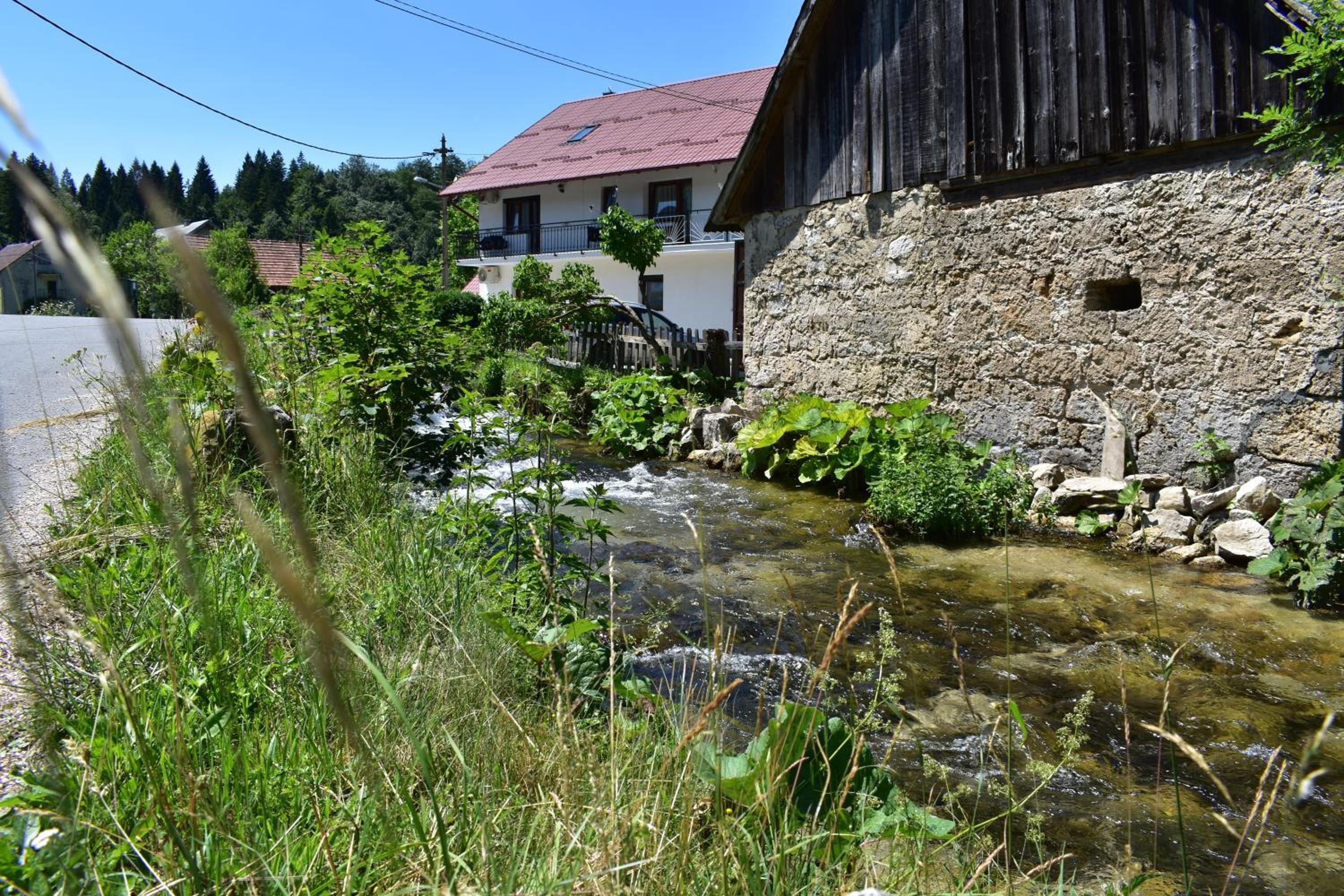 Photo 43