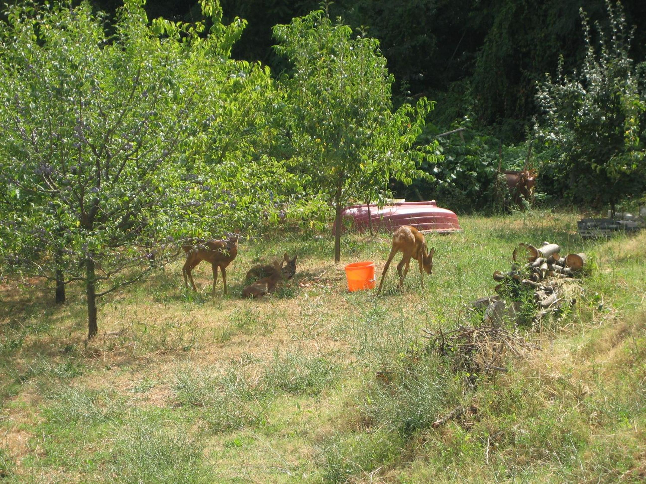 Photo 9